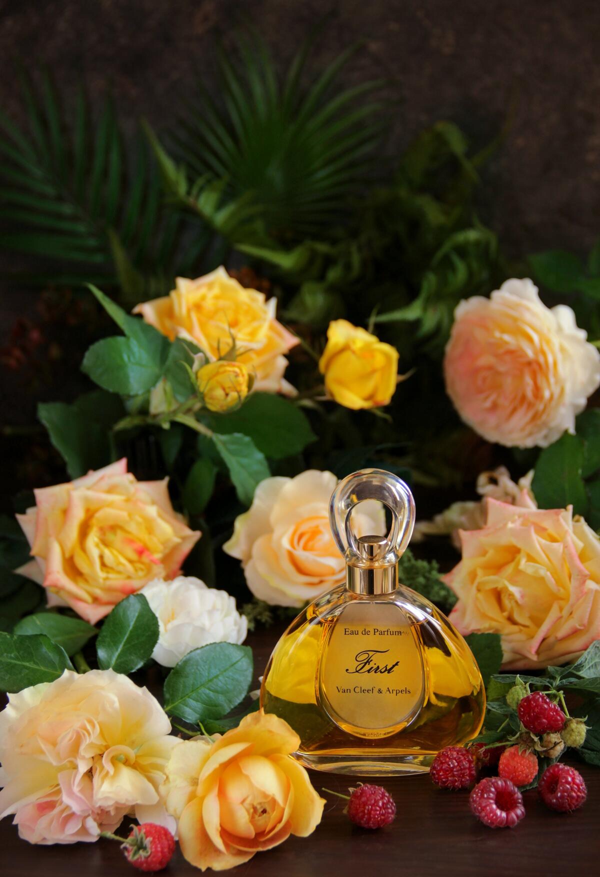 عطر ادکلن فرست ون کلیف اند آرپلس - First Van Cleef & Arpels - بررسی، قیمت و خرید