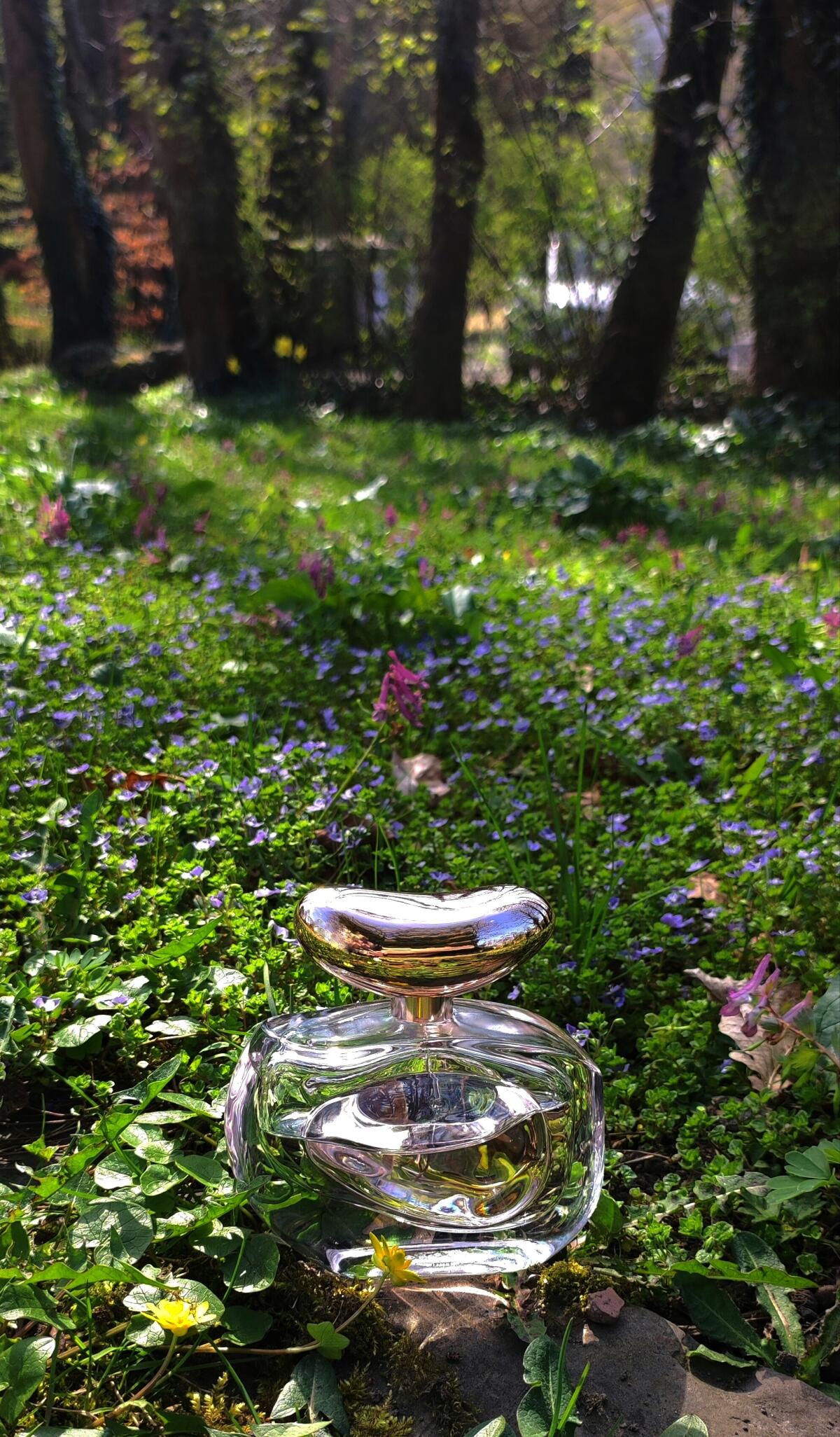 عطر ادکلن ایلومینار وینس کاموتو - Illuminare Vince Camuto - بررسی، قیمت و خرید
