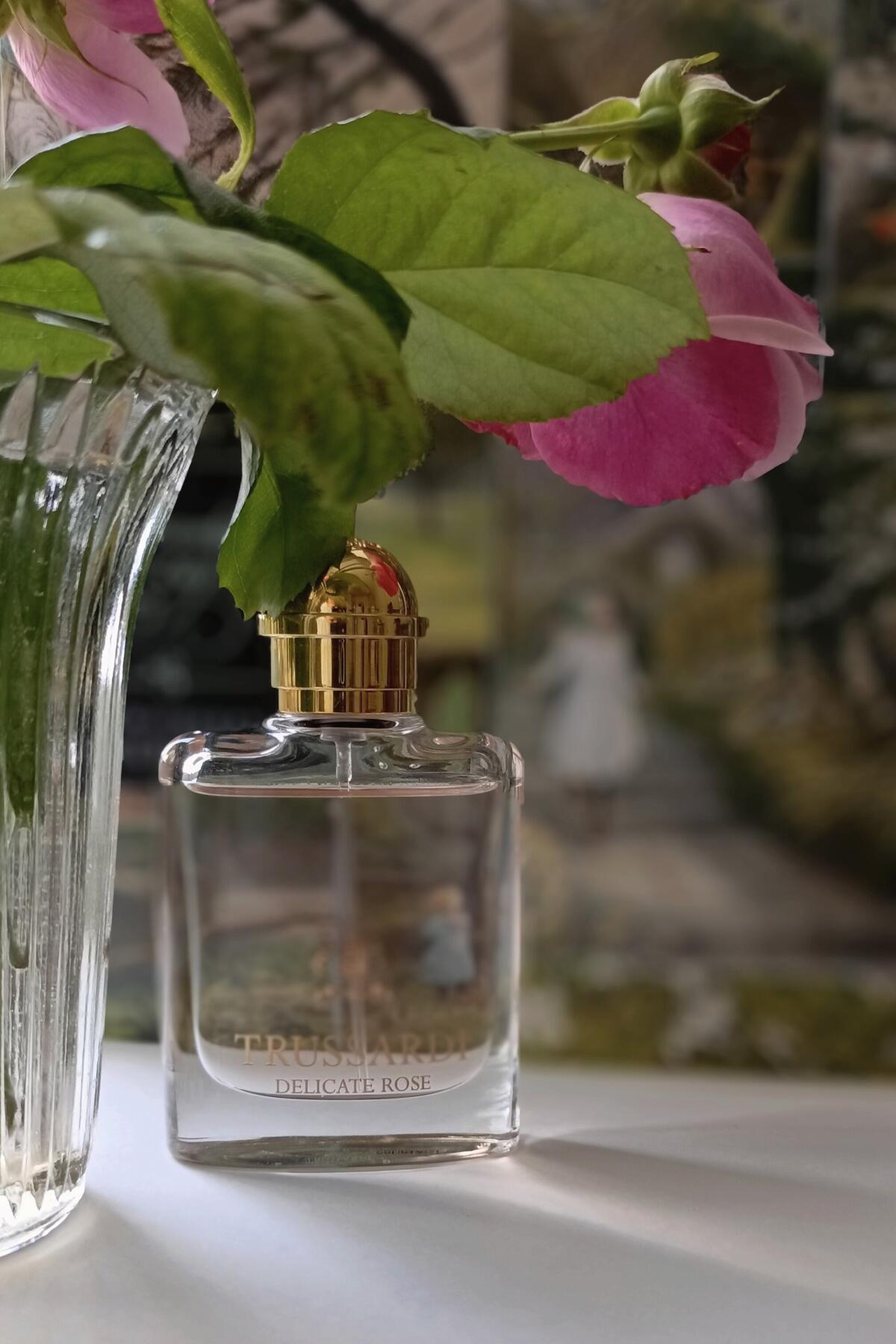 عطر ادکلن ترساردی دلیکیت رز تروساردی - Trussardi Delicate Rose Trussardi - بررسی، قیمت و خرید