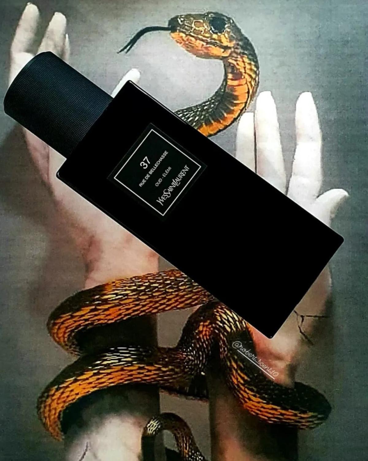 عطر ادکلن تریسِت رو دو بِله‌شاس ایو سن لوران - 37 rue de Bellechasse Yves Saint Laurent - بررسی، قیمت و خرید