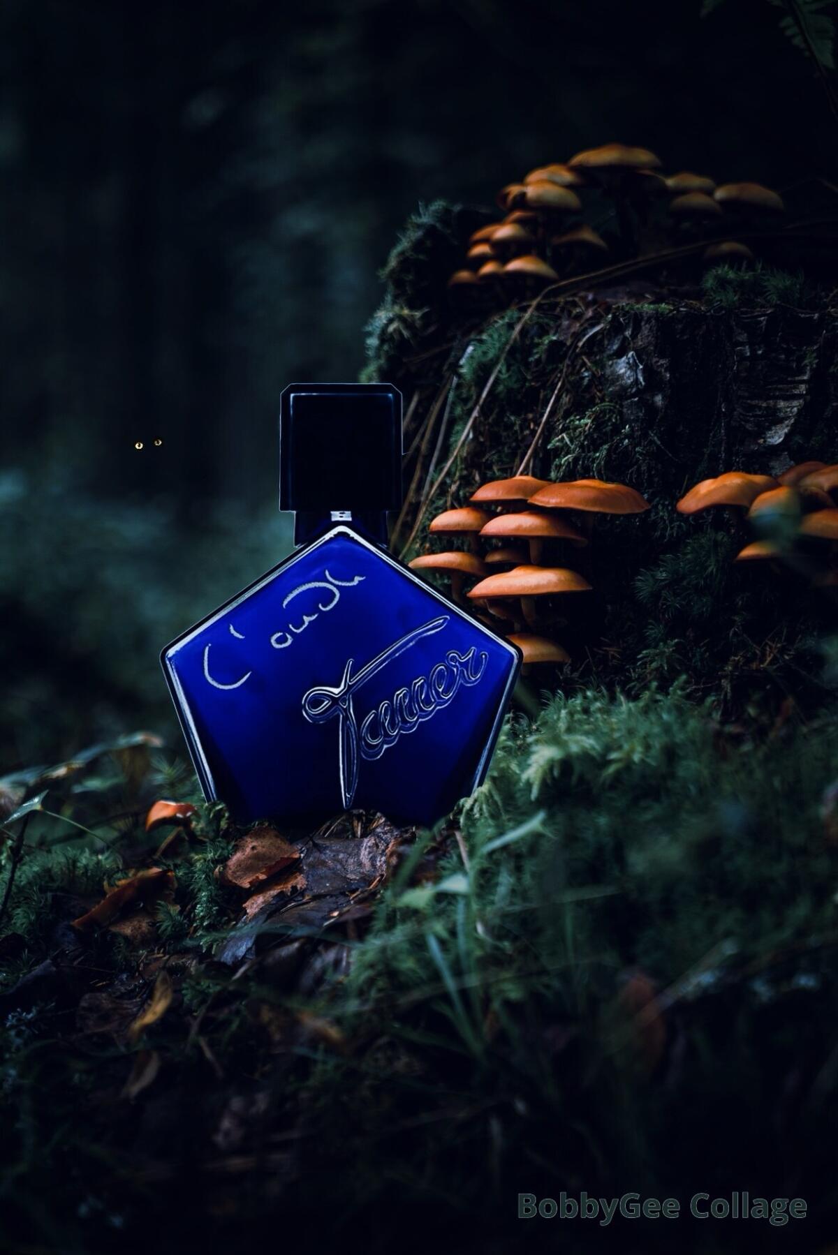 عطر ادکلن لود تاور پرفیومز - L'Oudh Tauer Perfumes - بررسی، قیمت و خرید