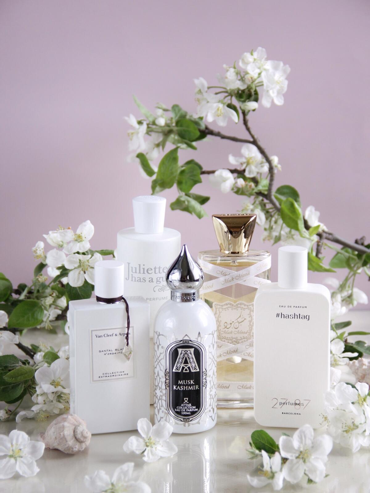 عطر ادکلن سانتال بلانک ون کلیف اند آرپلز - Santal Blanc Van Cleef & Arpels - بررسی، قیمت و خرید