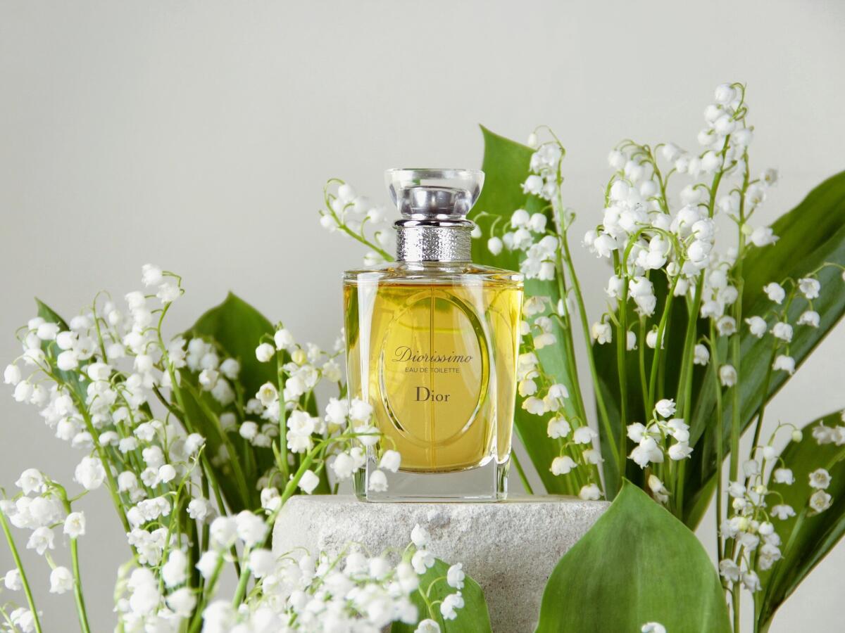 عطر ادکلن ل کریاسیون د مسیو دیور دیوریسیمو او دو توالت دیور - Les Creations de Monsieur Dior Diorissimo Eau de Toilette Dior - بررسی، قیمت و خرید