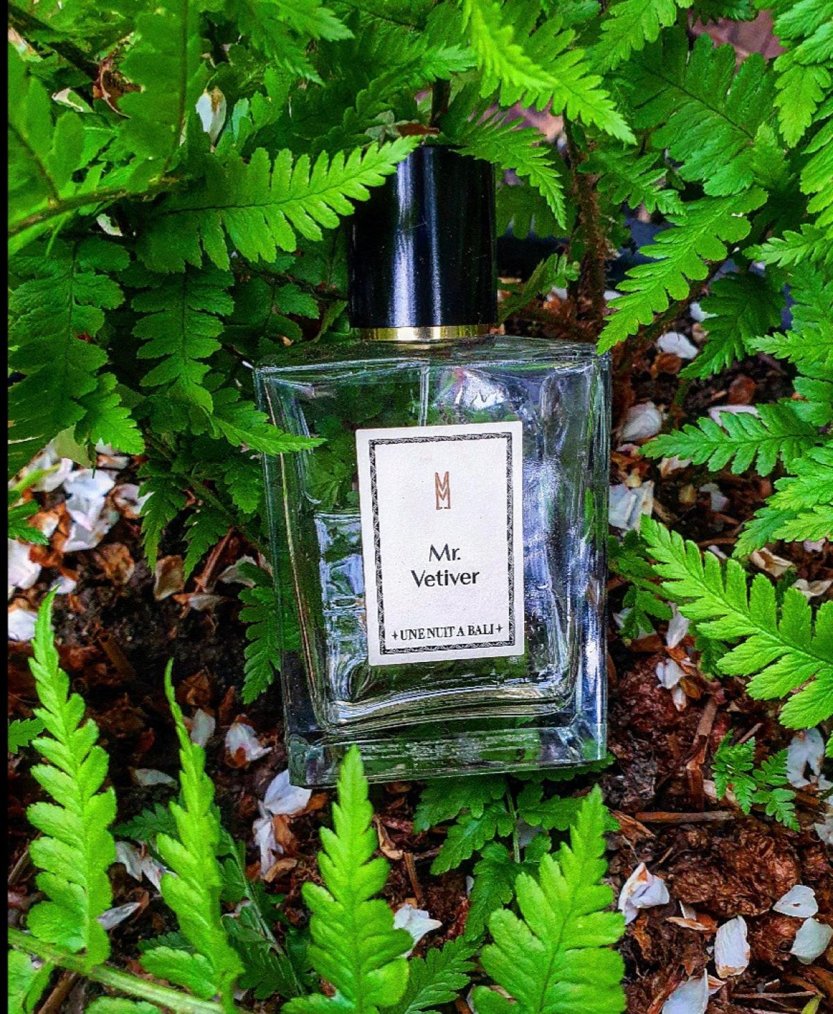 عطر ادکلن مستر وتیور اون نویت نمد - Mr. Vetiver Une Nuit Nomade - بررسی، قیمت و خرید