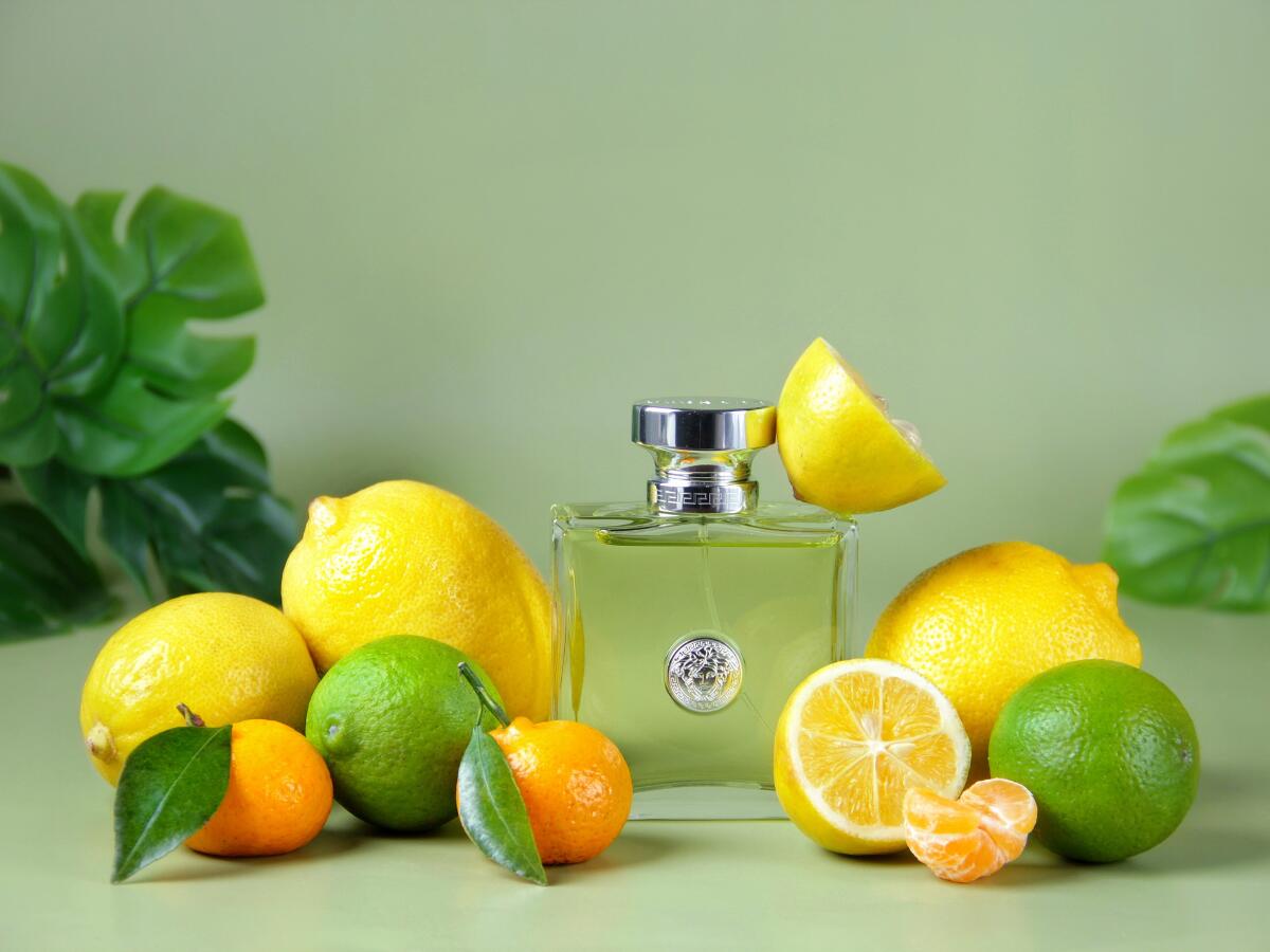 عطر ادکلن ورسنس ورساچه - Versense Versace - بررسی، قیمت و خرید
