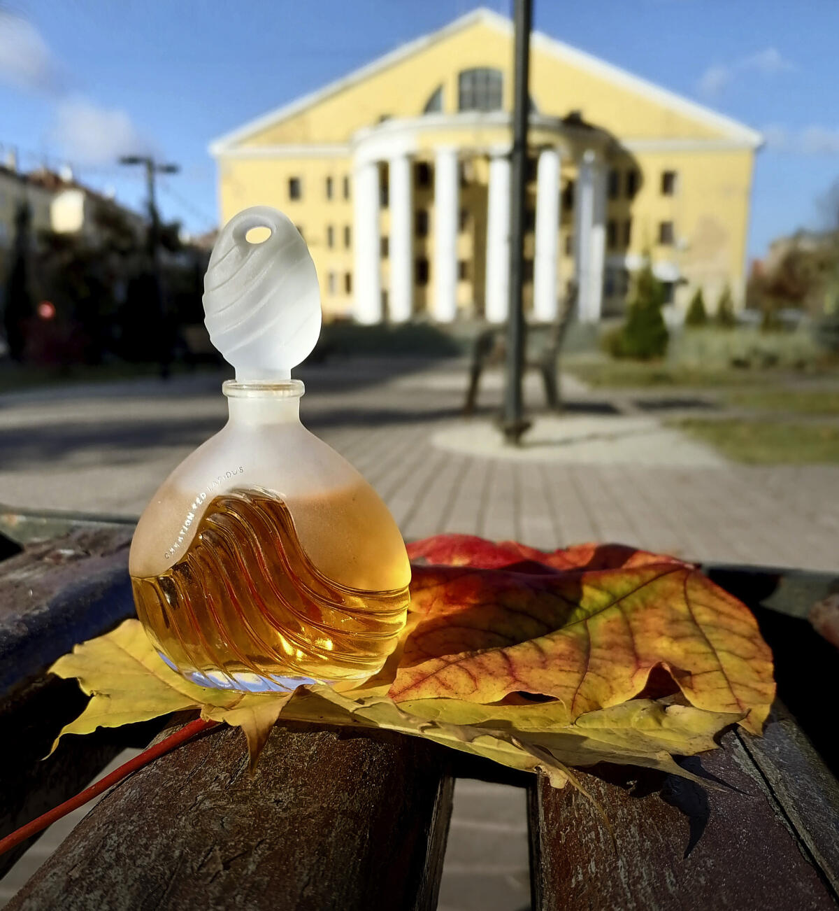 عطر ادکلن کریشِن 1984 تد لاپیدوس - Creation 1984 Ted Lapidus - بررسی، قیمت و خرید