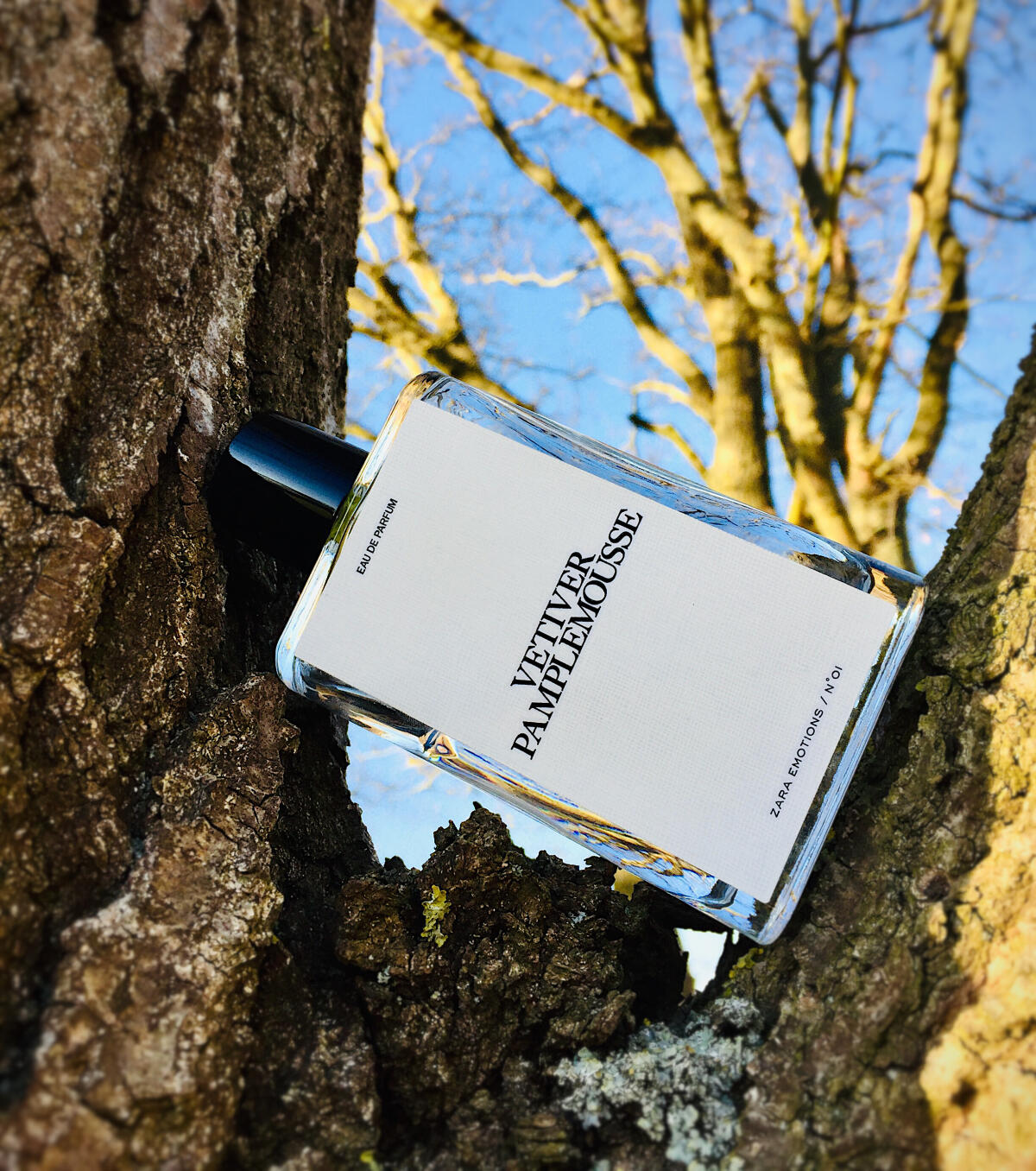 عطر ادکلن وتیور پمپل موس زارا - Vetiver Pamplemousse Zara - بررسی، قیمت و خرید
