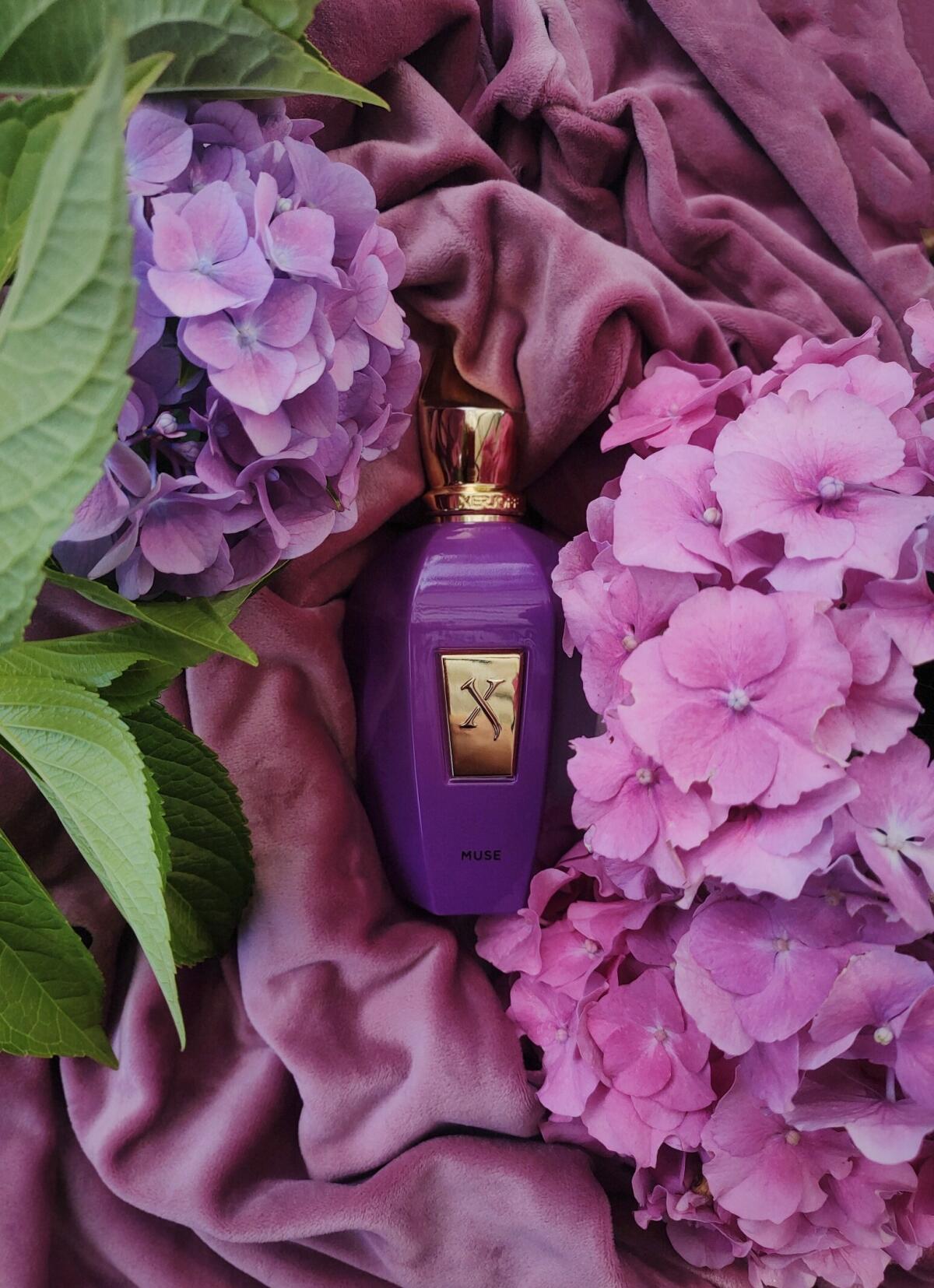 عطر ادکلن میوز زرجف - Muse Xerjoff - بررسی، قیمت و خرید