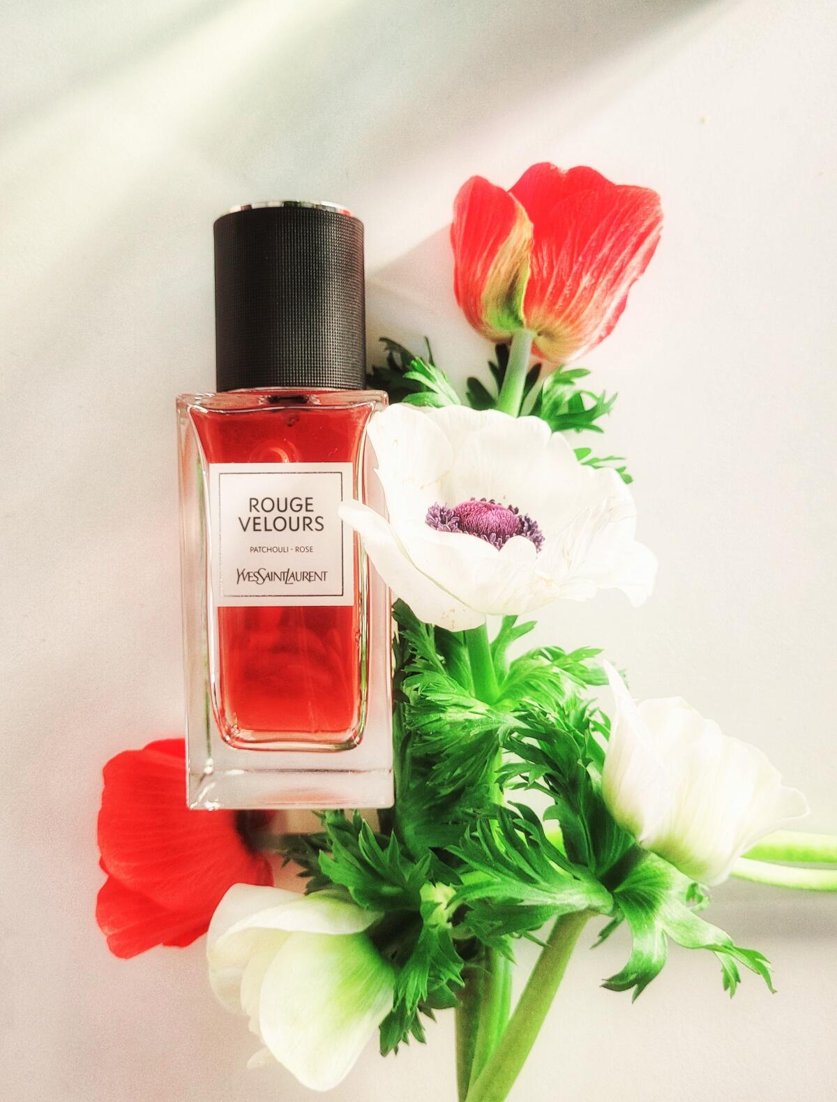 عطر ادکلن روژ ولور ایو سن لورن - Rouge Velours Yves Saint Laurent - بررسی، قیمت و خرید