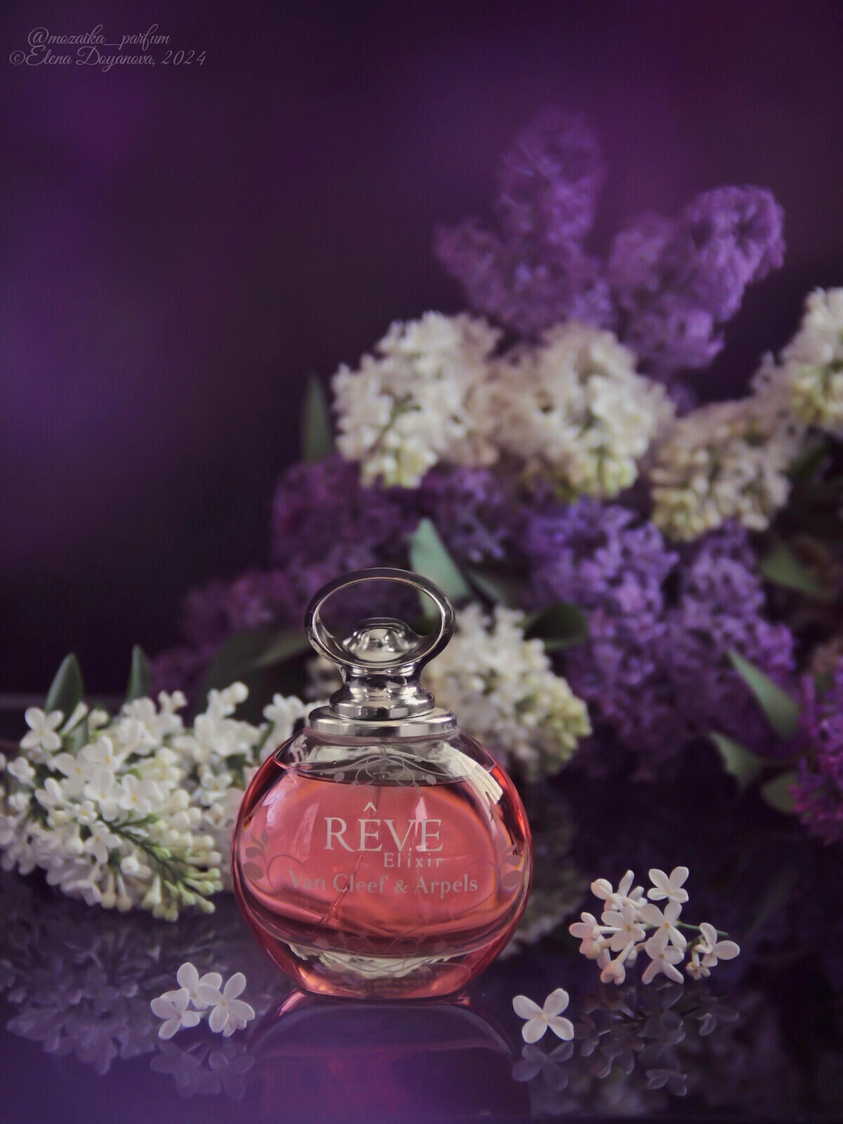 عطر ادکلن رِو الیکسیِر ون کلیف اند آرپلز - Rêve Elixir Van Cleef & Arpels - بررسی، قیمت و خرید