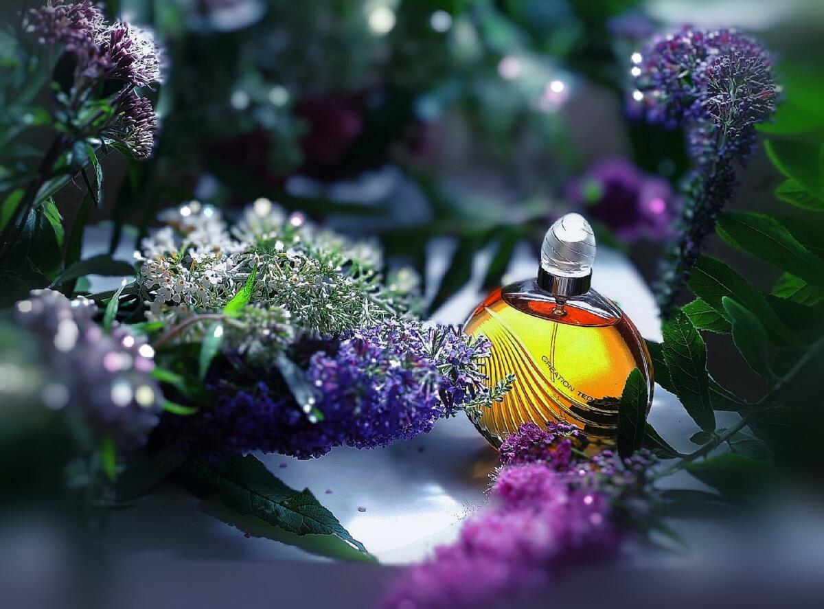 عطر ادکلن کریِیشِن تد لاپیدوس - Creation Ted Lapidus - بررسی، قیمت و خرید