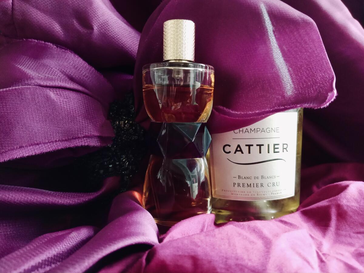 عطر ادکلن مانیفستو ایو سن لورن - Manifesto Yves Saint Laurent - بررسی، قیمت و خرید