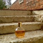 عطر ادکلن وندر بیلت گلودیا وندربیلت - Vanderbilt Gloria Vanderbilt - بررسی، قیمت و خرید