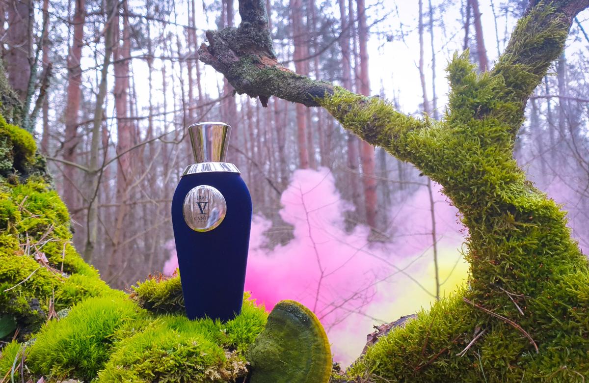 عطر ادکلن ایری وی کانتو - Irae V Canto - بررسی، قیمت و خرید
