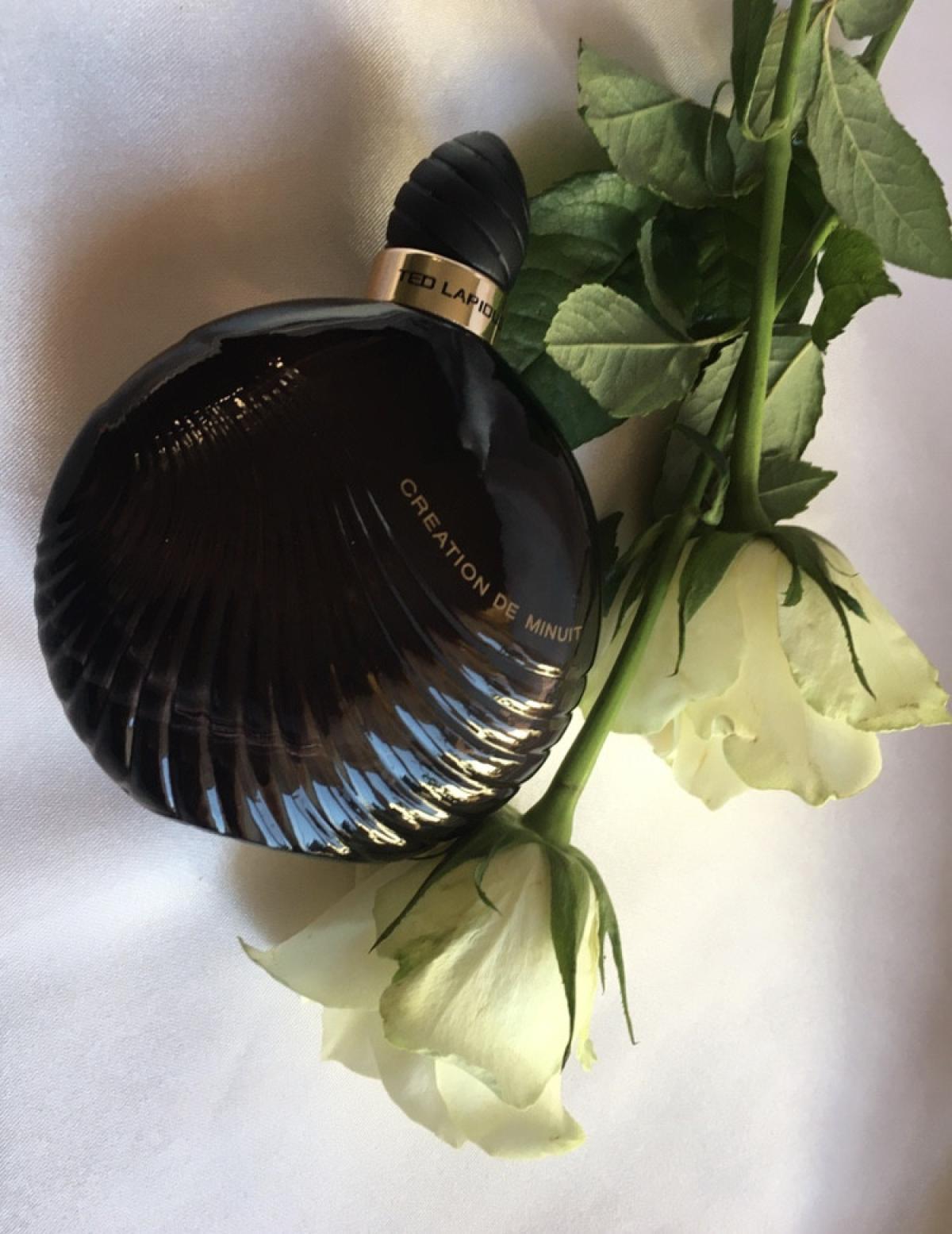 عطر ادکلن کریاسیون د می‌نوی تد لاپیدوس - Creation de Minuit Ted Lapidus - بررسی، قیمت و خرید