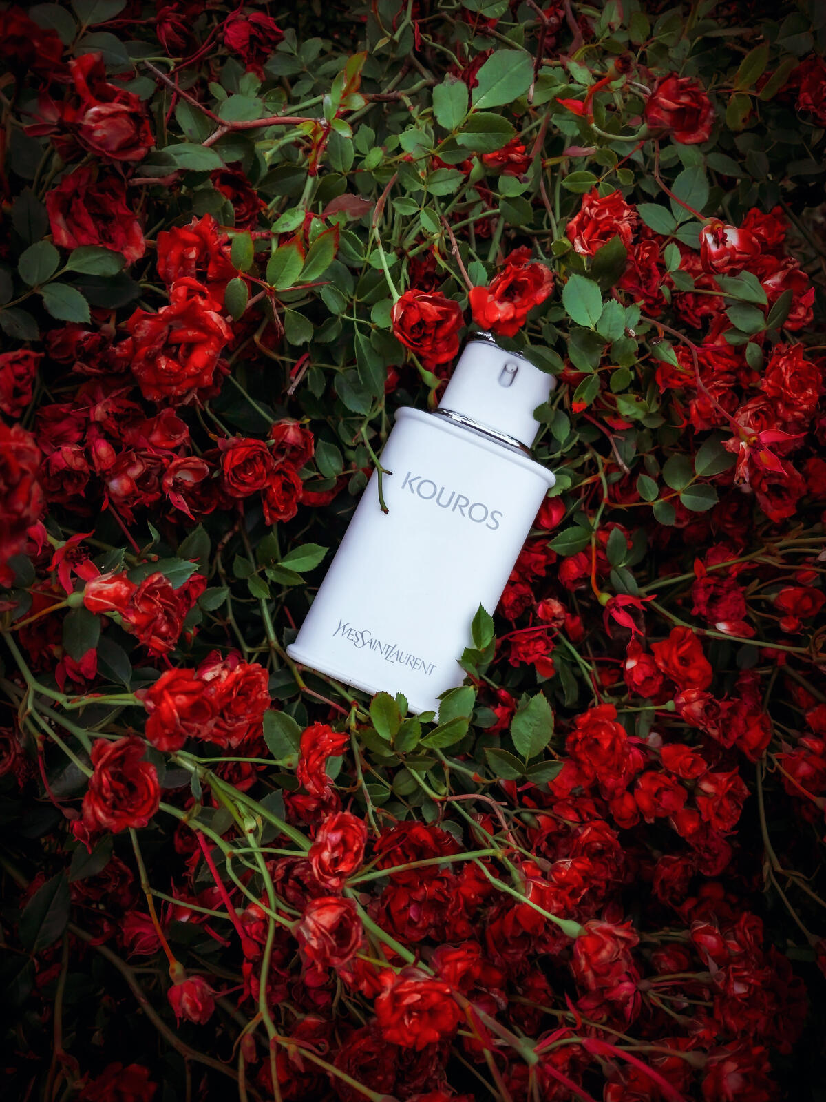 عطر ادکلن کُروس ایو سن لوران - Kouros Yves Saint Laurent - بررسی، قیمت و خرید