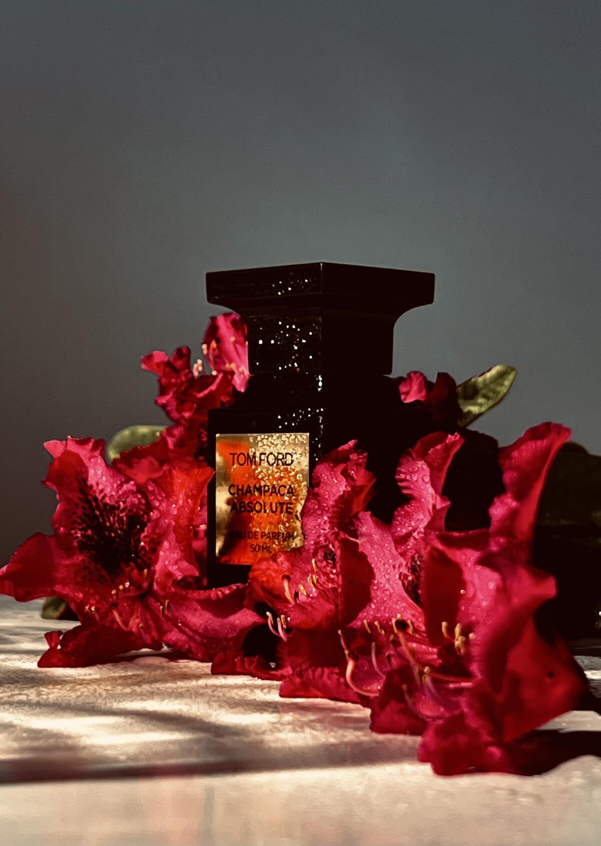 عطر ادکلن چمپاکا ابسولوت تام فورد - Champaca Absolute Tom Ford - بررسی، قیمت و خرید