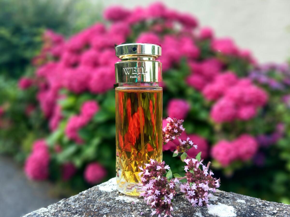 عطر ادکلن ویل له پارفوم ویل - Weil Le Parfum Weil - بررسی، قیمت و خرید