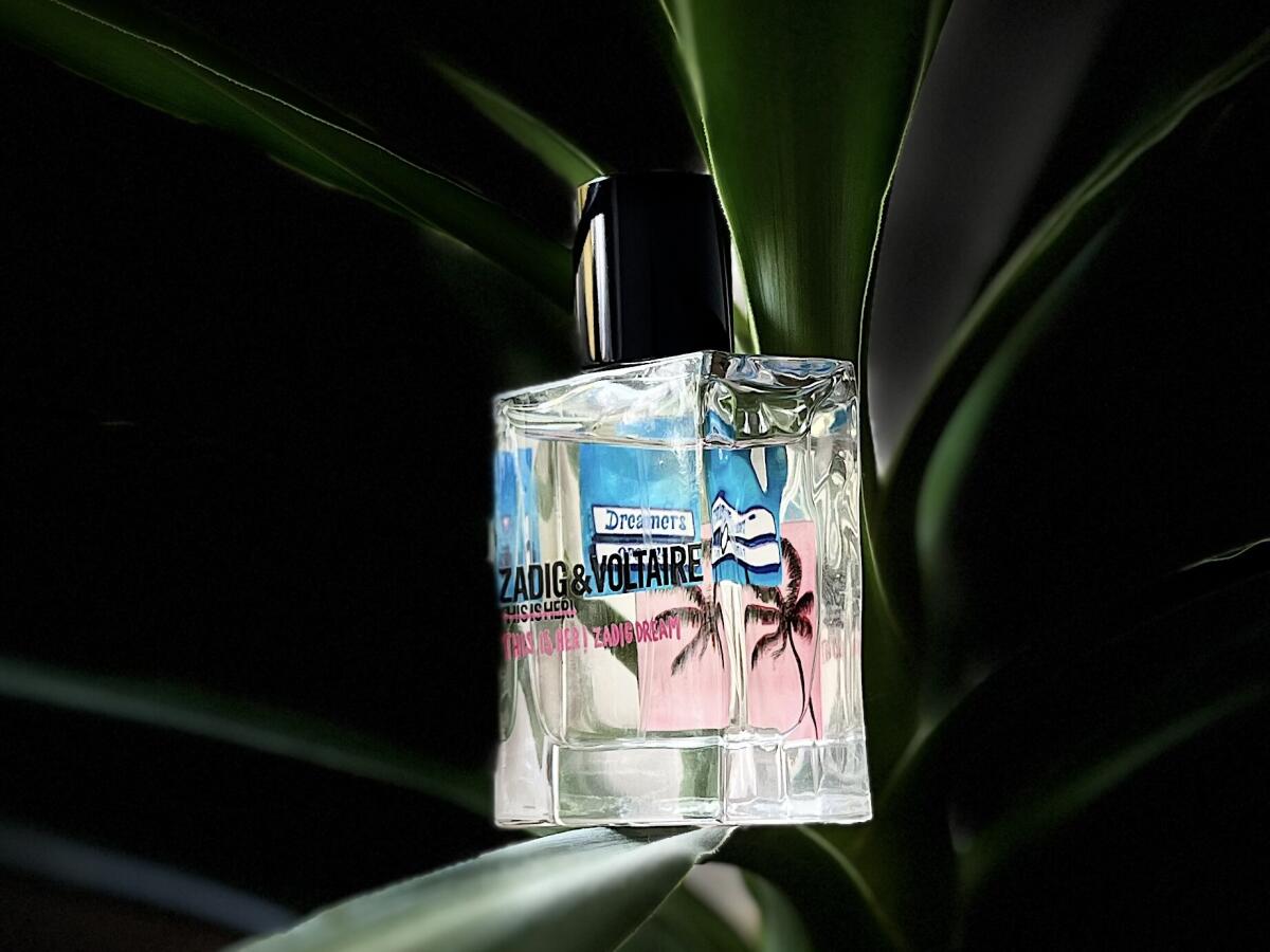 عطر ادکلن دیس ایز هر زدیک دریم زادیک اند وُلتر - This Is Her! Zadig Dream Zadig & Voltaire - بررسی، قیمت و خرید