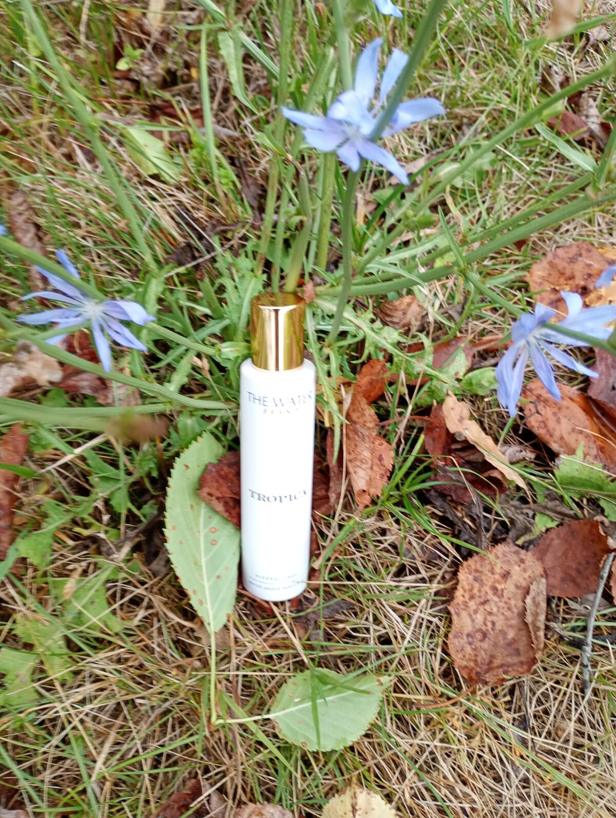 عطر ادکلن تروپیکا د واتر برند - Tropica The Water Brand - بررسی، قیمت و خرید