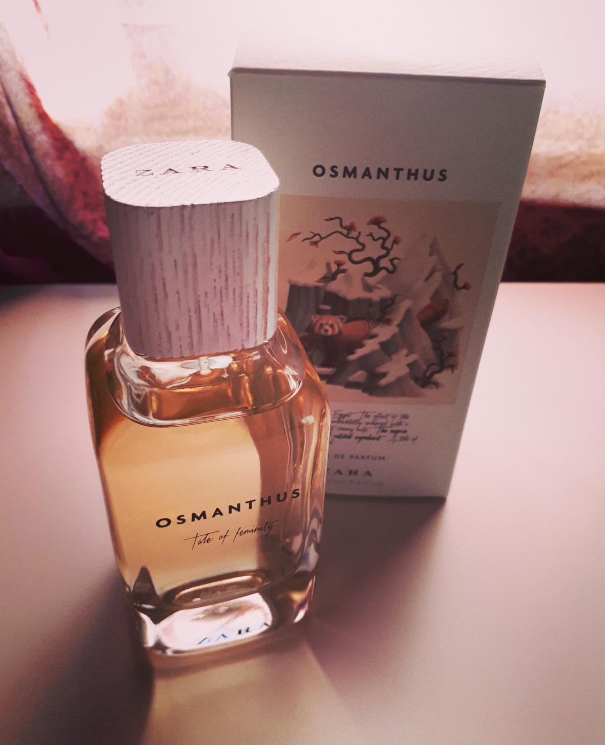 عطر ادکلن اوسمانتوس زارا - Osmanthus - Tale Of Feminity Zara - بررسی، قیمت و خرید
