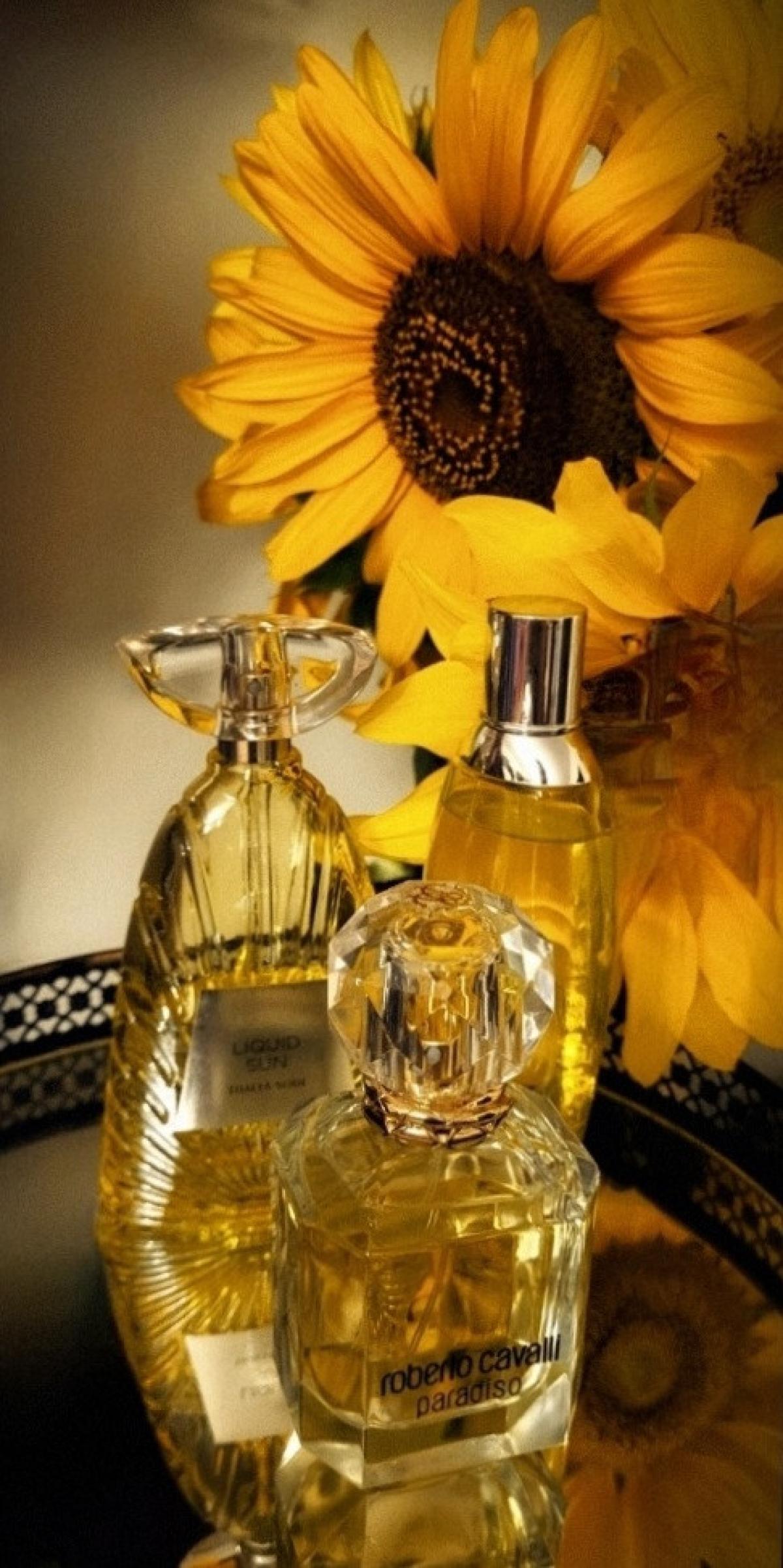 عطر ادکلن لیکویید سان نالیا سودی - Liquid Sun Thalia Sodi - بررسی، قیمت و خرید