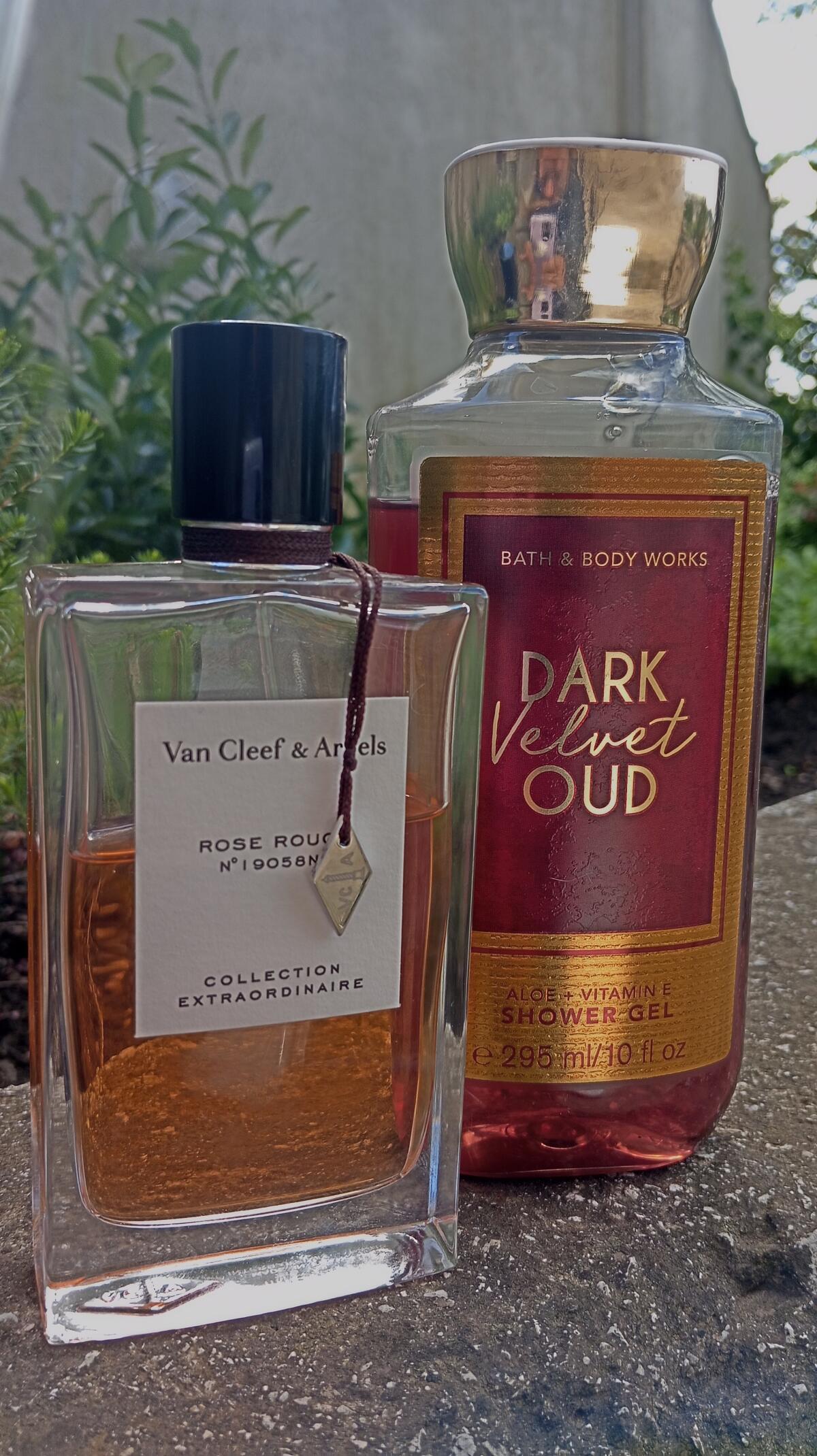 عطر ادکلن رز روژ ون کلیف اند آرپلز - Rose Rouge Van Cleef & Arpels - بررسی، قیمت و خرید