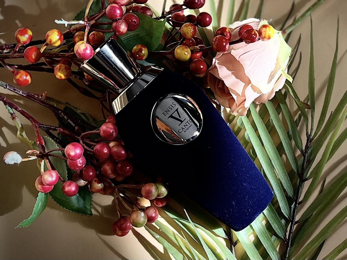 عطر ادکلن اینسیس وی کانتو - Ensis V Canto - بررسی، قیمت و خرید
