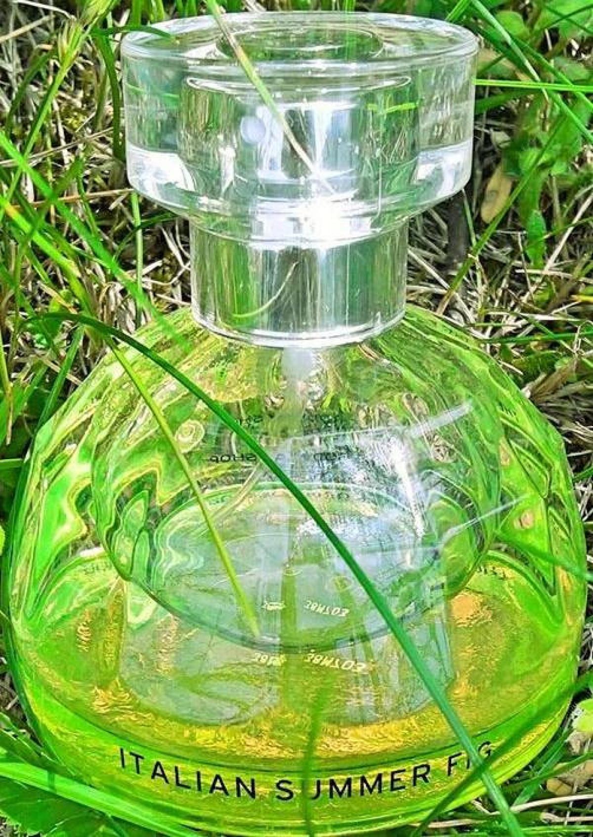 عطر ادکلن ایتالین سامر فیگ د بادی شاپ - Italian Summer Fig The Body Shop - بررسی، قیمت و خرید