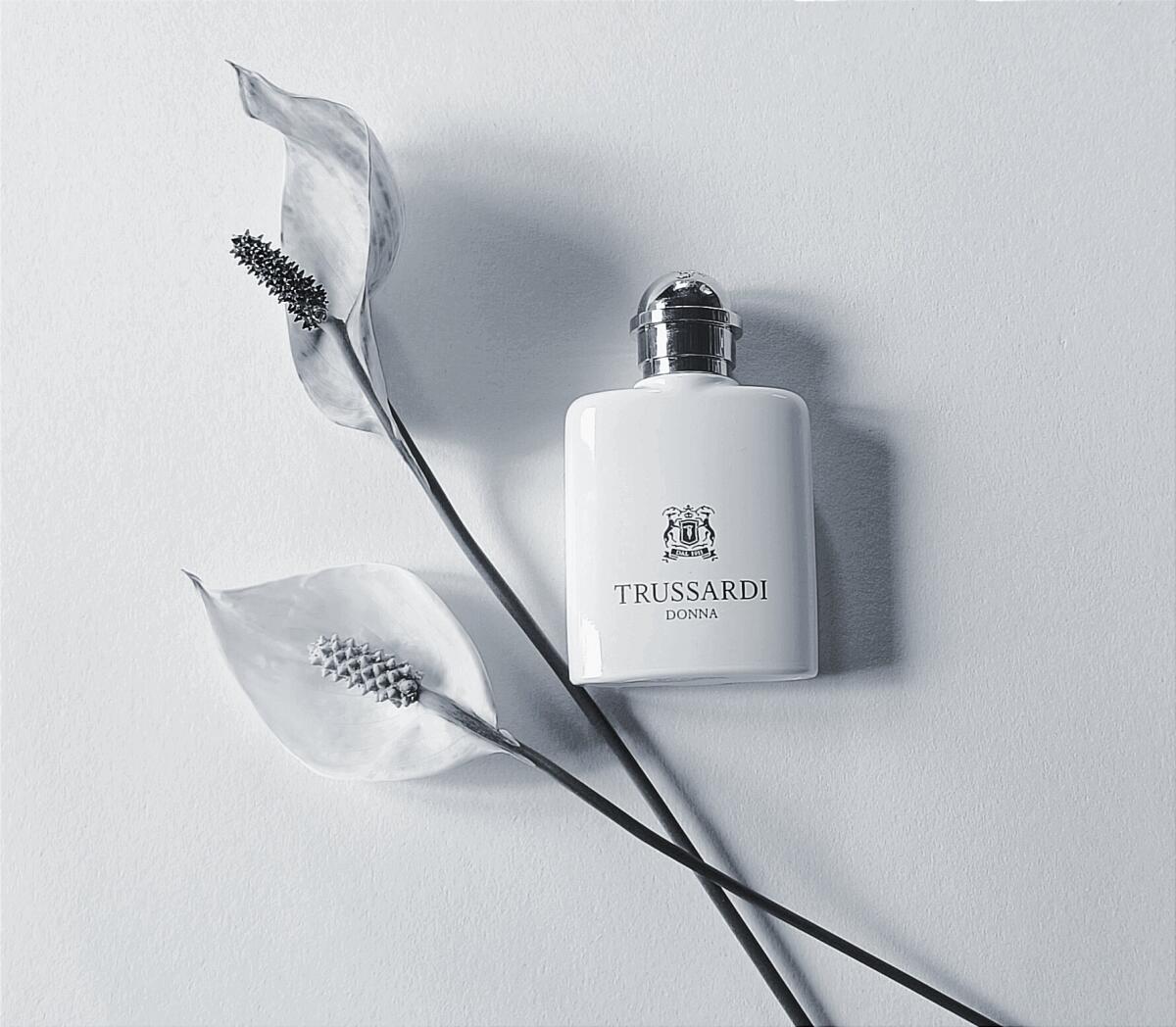 عطر ادکلن ترساردی دونا ترساردی - Trussardi Donna (2011) Trussardi - بررسی، قیمت و خرید