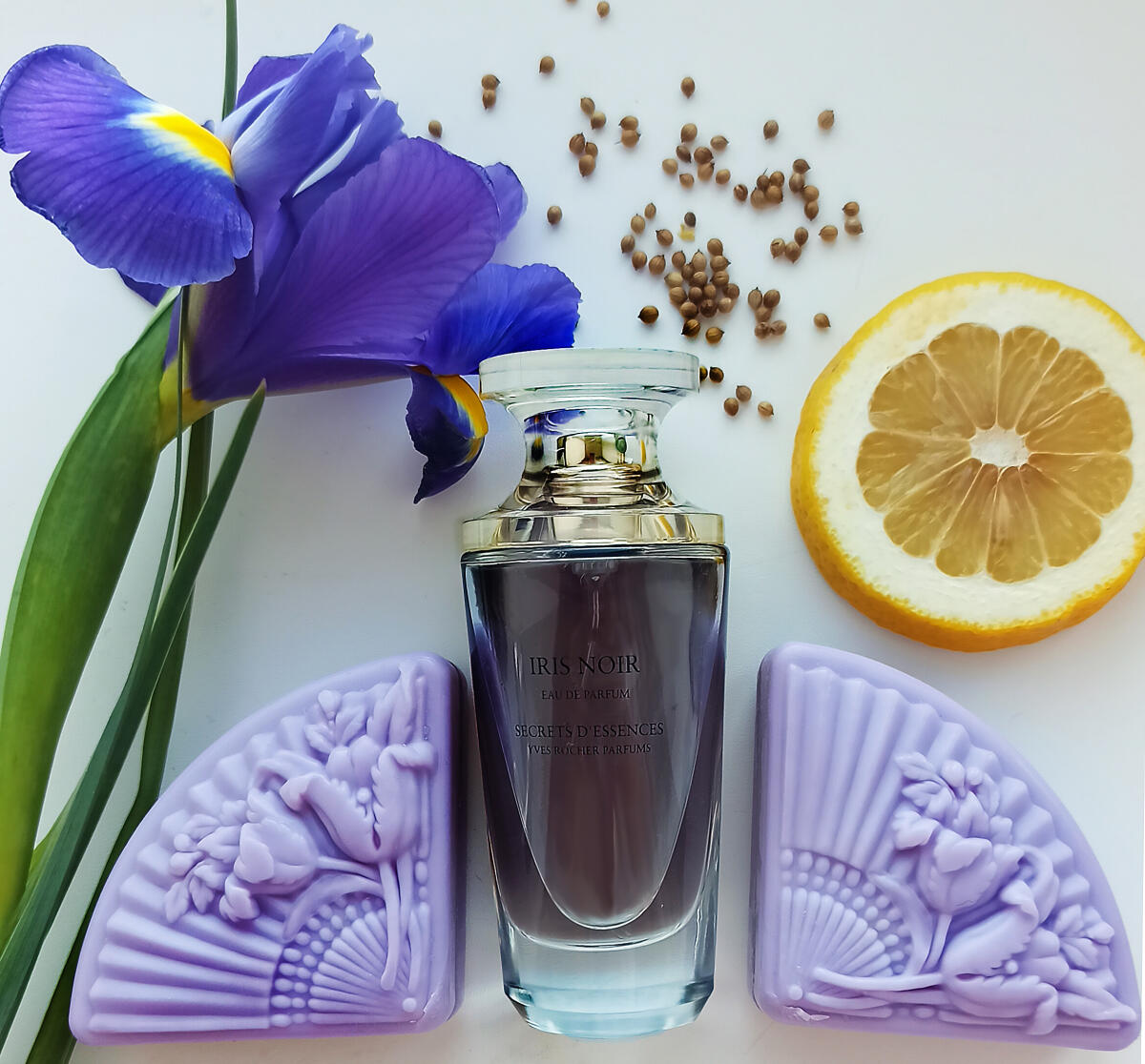 عطر ادکلن آیریس نوآر ایوز روشه - Iris Noir Yves Rocher - بررسی، قیمت و خرید