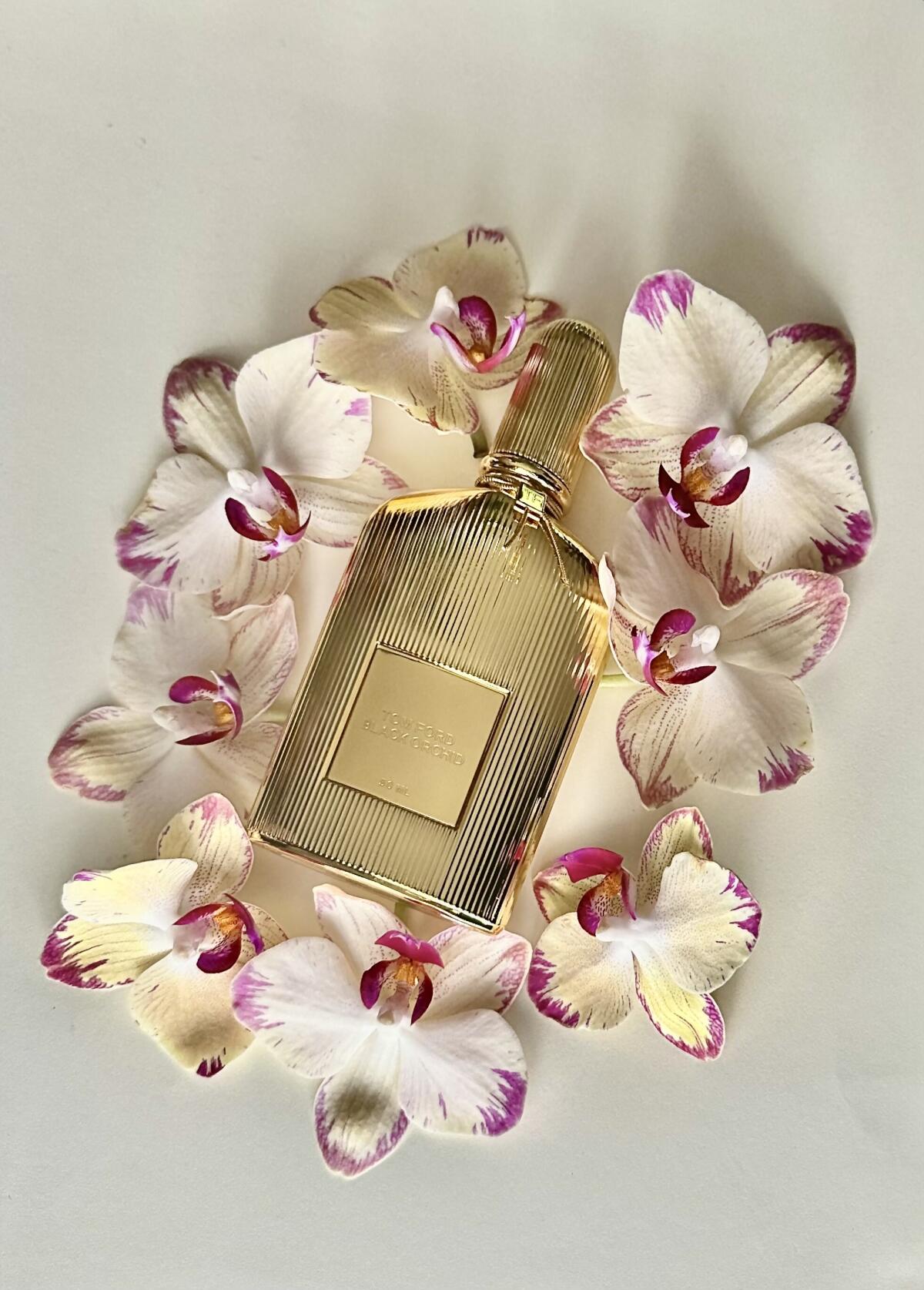 عطر ادکلن بِلَک اُرکید پَرفیوم تام فورد - Black Orchid Parfum Tom Ford - بررسی، قیمت و خرید