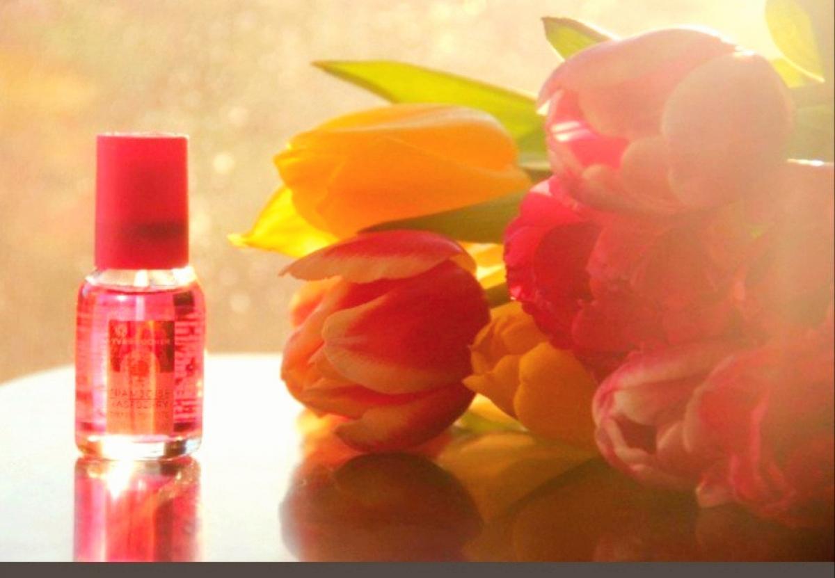 عطر ادکلن فرامبواز دوهزار و ده ایوروشه - Framboise 2010 Yves Rocher - بررسی، قیمت و خرید