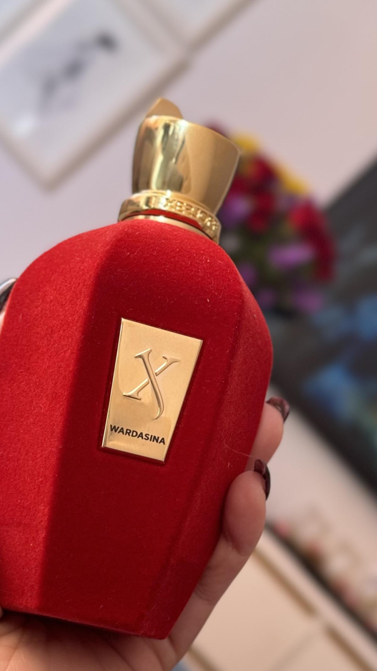 عطر ادکلن وارداسینا زرژاف - Wardasina Xerjoff - بررسی، قیمت و خرید