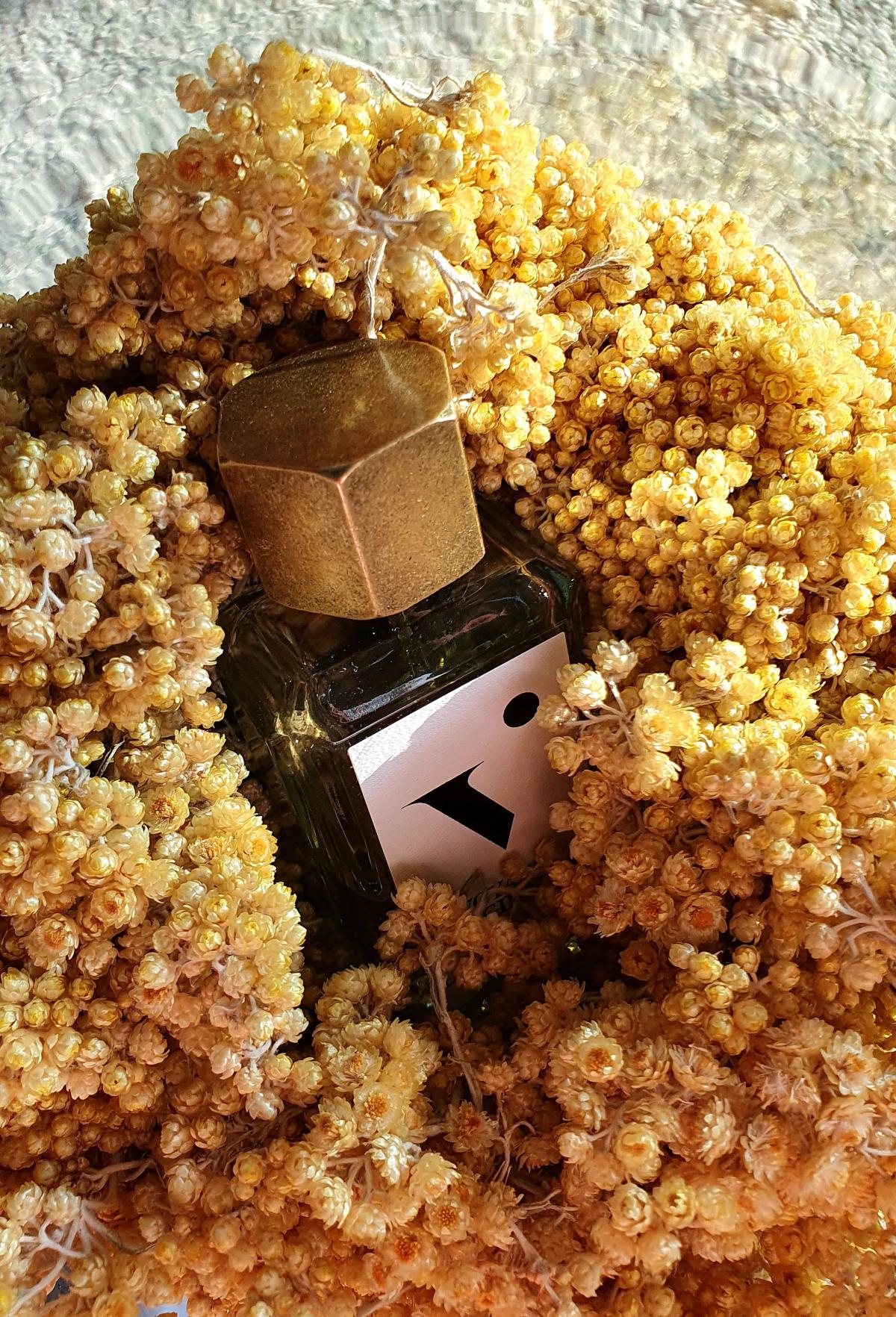 عطر ادکلن ل اُ دِز ایمورتل وُیَژ ایمَژینِغ - L'Eau des Immortels Voyages Imaginaires - بررسی، قیمت و خرید
