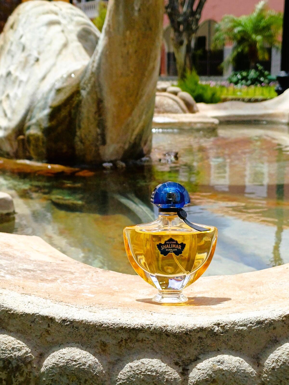 عطر ادکلن شالیمار میلزیم آیریس گرلن - Shalimar Millésime Iris Guerlain - بررسی، قیمت و خرید