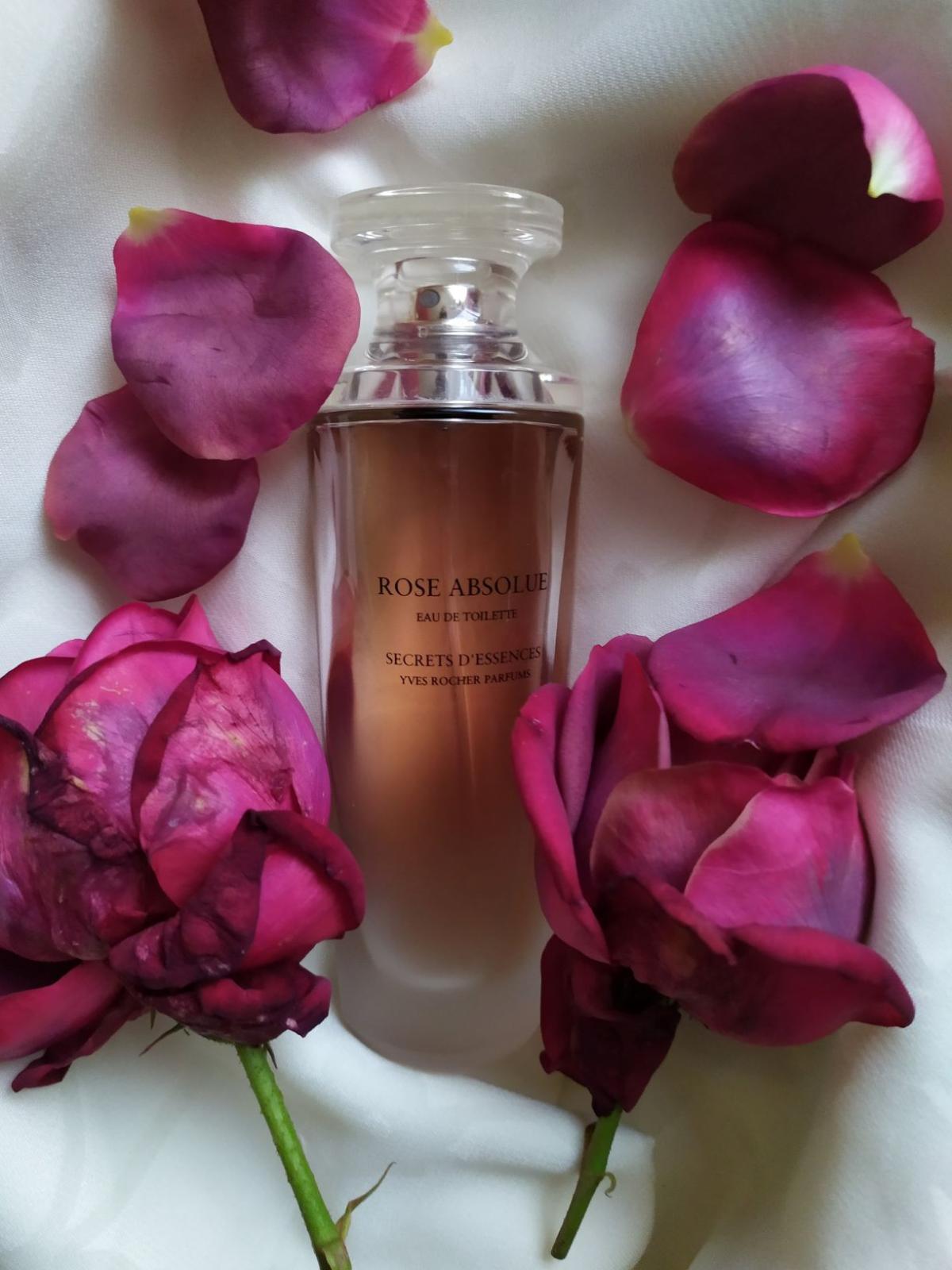 عطر ادکلن رز ابسولو او دو تویلت فرش ایو روشه - Rose Absolue Eau de Toilette Fraiche Yves Rocher - بررسی، قیمت و خرید
