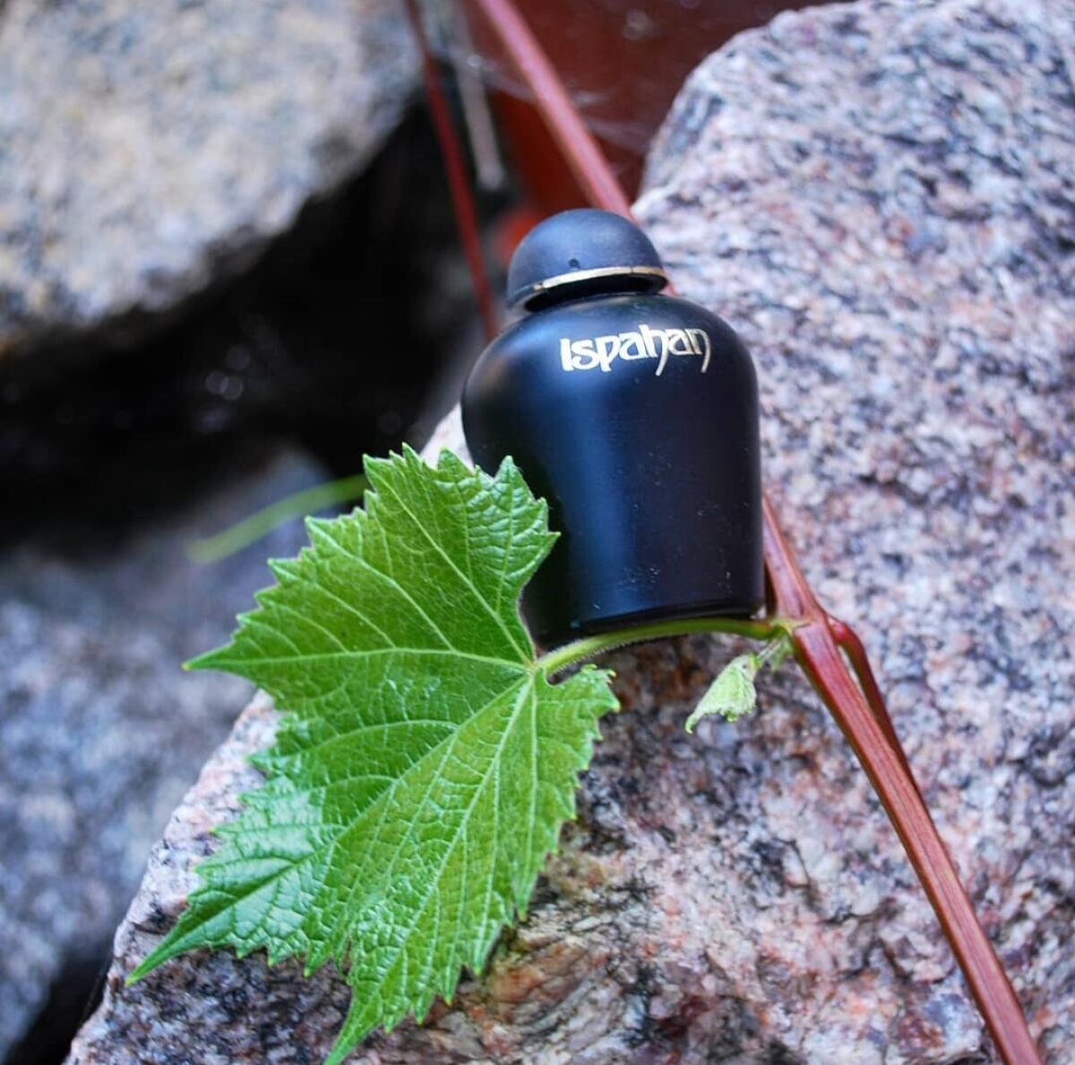 عطر ادکلن اصفهان ایوروشه - Ispahan Yves Rocher - بررسی، قیمت و خرید