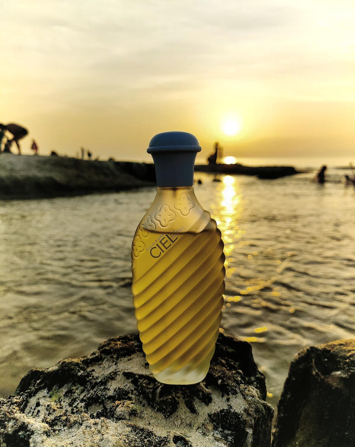 عطر ادکلن سیِل اولریک دو وارن - Ciel Ulric de Varens - بررسی، قیمت و خرید