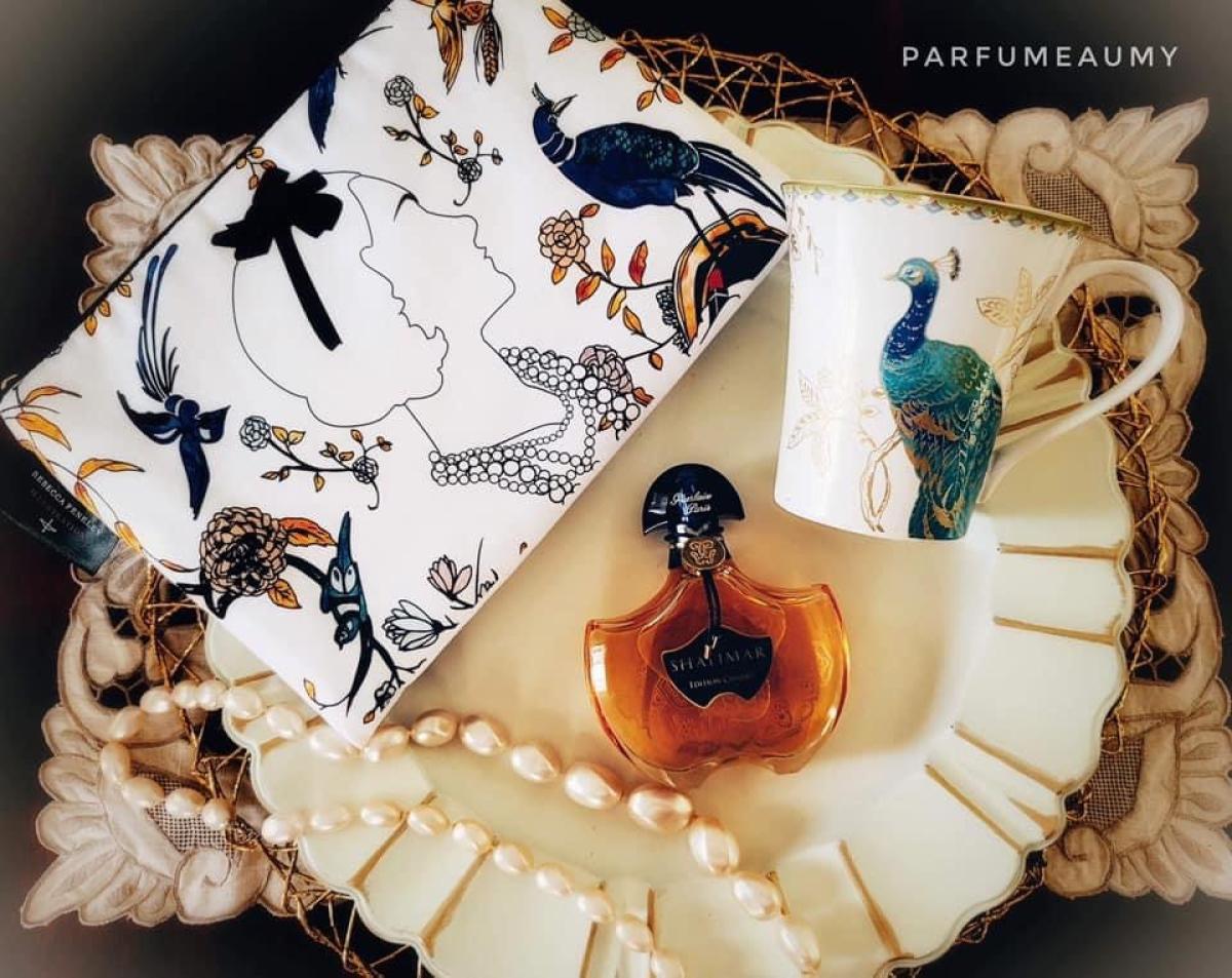 عطر ادکلن شالیمار ادیشن چرمز او دو پرفیوم گرلن - Shalimar Edition Charms Eau de Parfum Guerlain - بررسی، قیمت و خرید