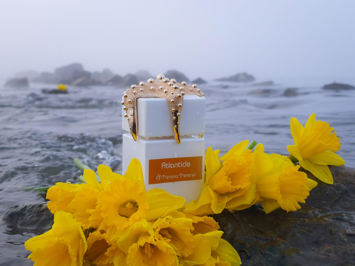 عطر ادکلن آتلانتیس تیزیانا ترنزی - Atlantide Tiziana Terenzi - بررسی، قیمت و خرید