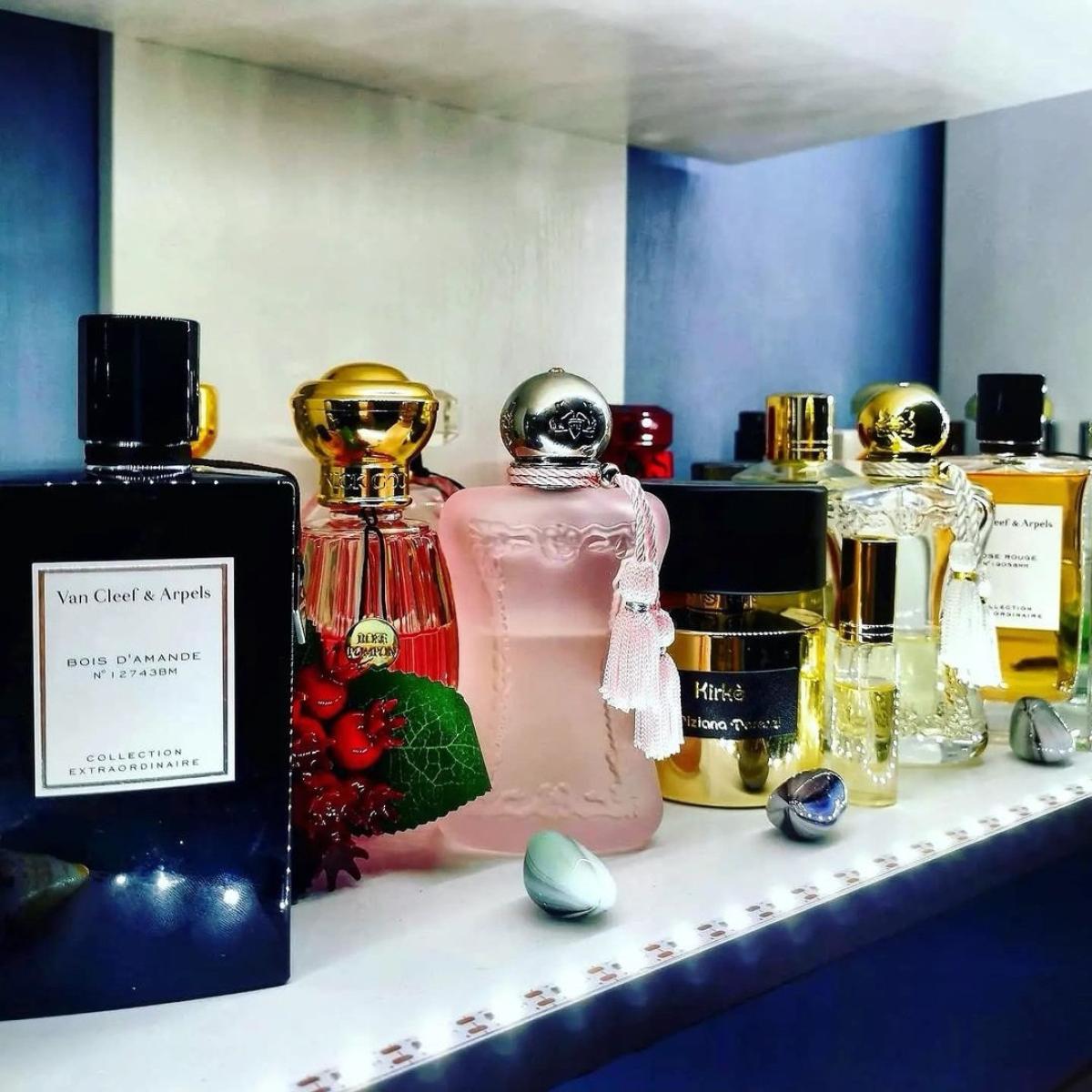عطر ادکلن بوا داماند ون کلیف اند آرپلز - Bois d'Amande Van Cleef & Arpels - بررسی، قیمت و خرید