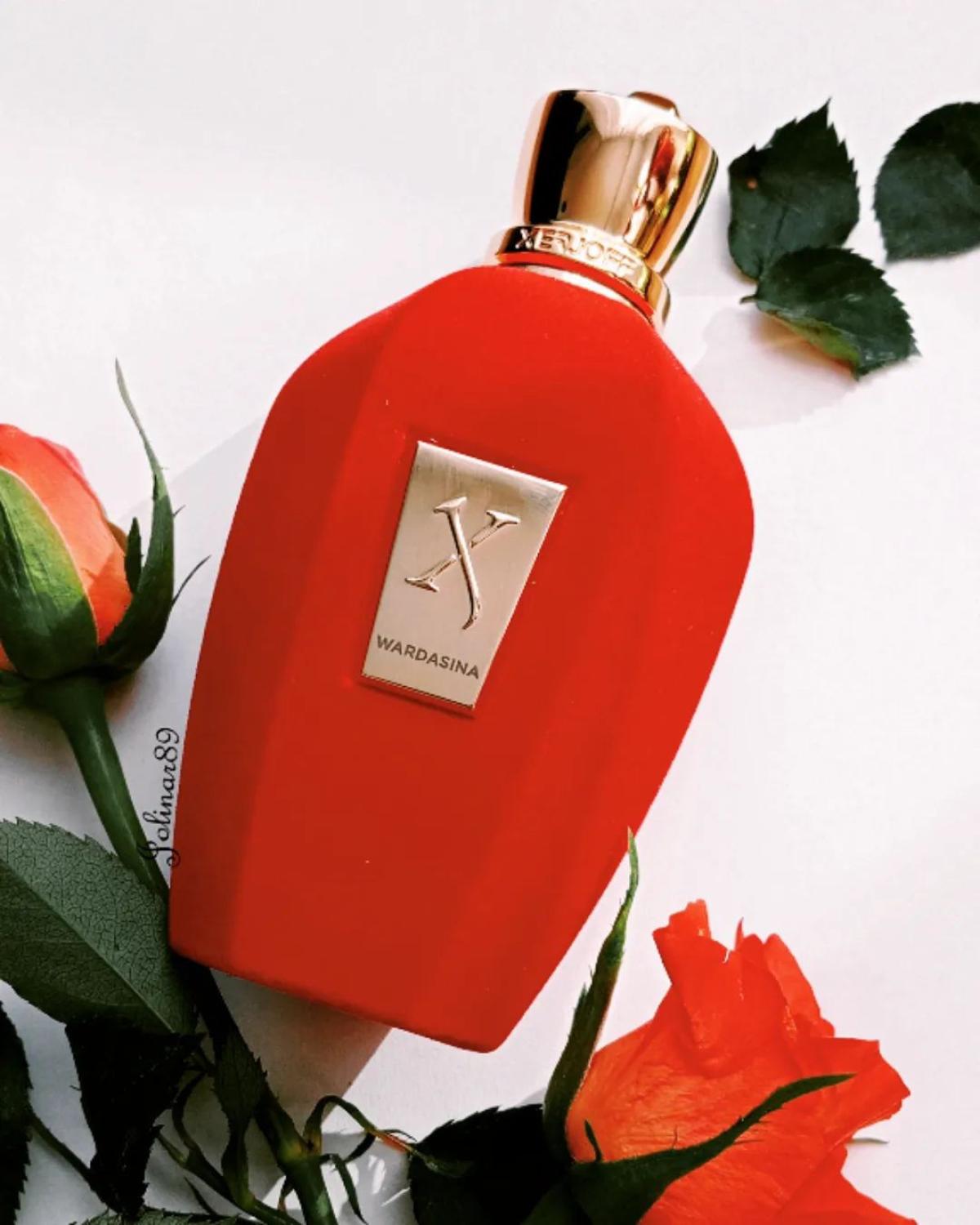 عطر ادکلن وارداسینا زرژاف - Wardasina Xerjoff - بررسی، قیمت و خرید