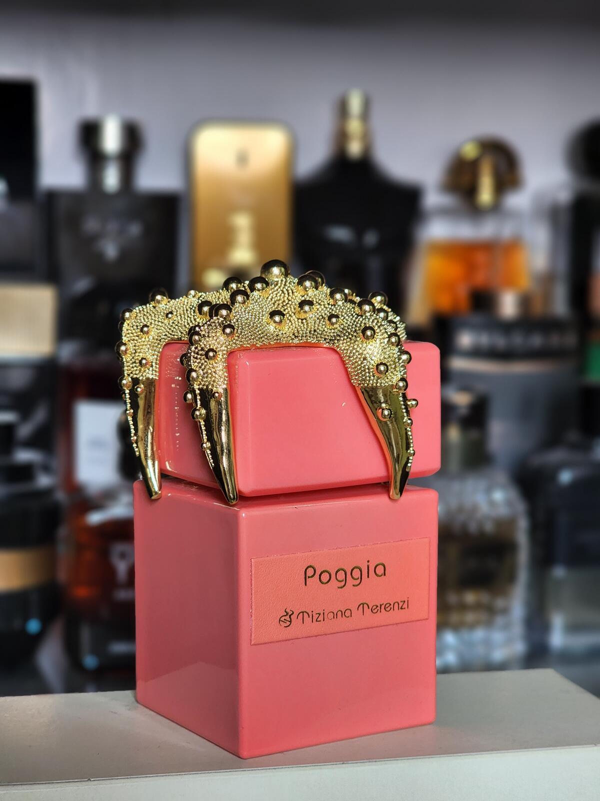 عطر ادکلن پاژیا تیزیانا ترنزی - Poggia Tiziana Terenzi - بررسی، قیمت و خرید