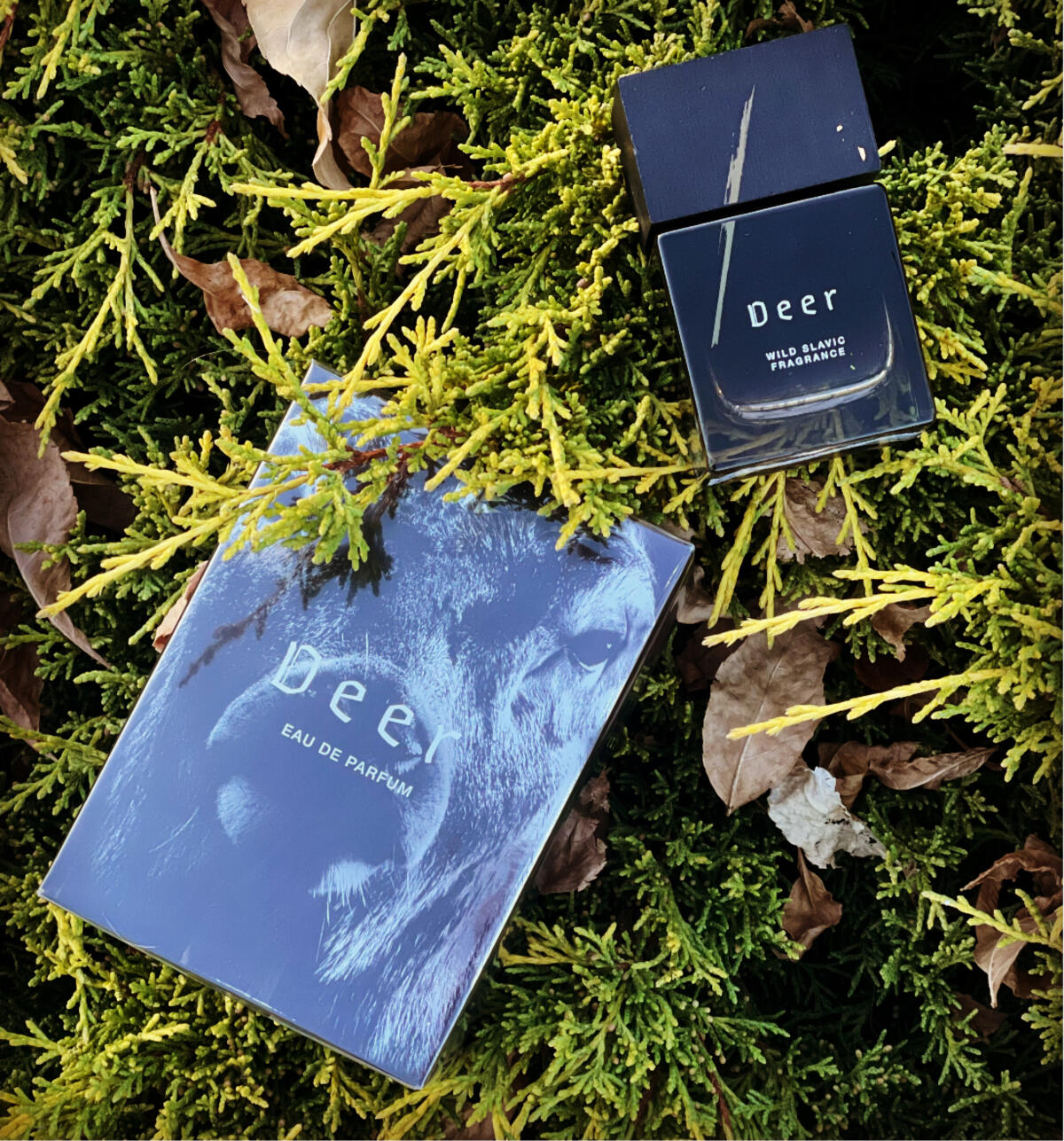 عطر ادکلن دیر ولف برادرز - Deer Wolf Brothers - بررسی، قیمت و خرید