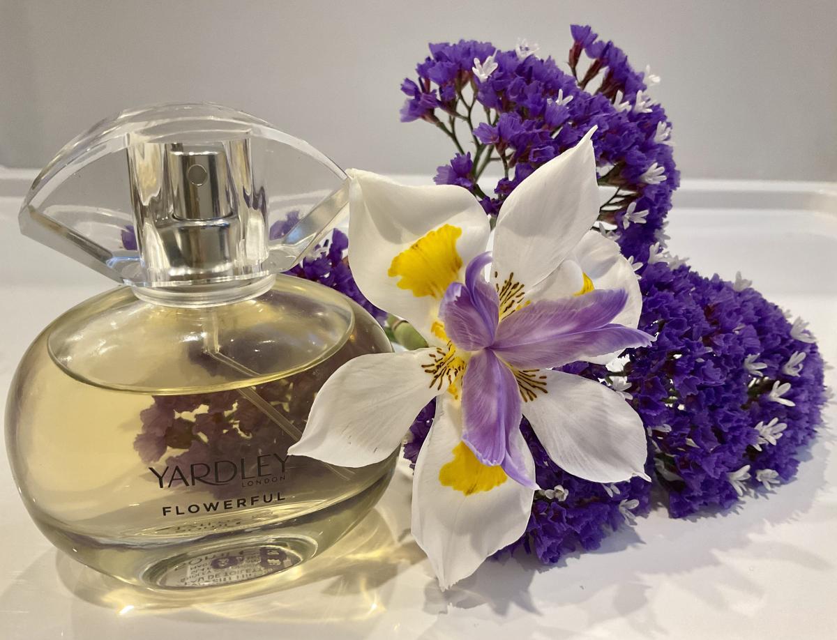 عطر ادکلن دکدنت میموسا یاردلی - Decadent Mimosa Yardley - بررسی، قیمت و خرید