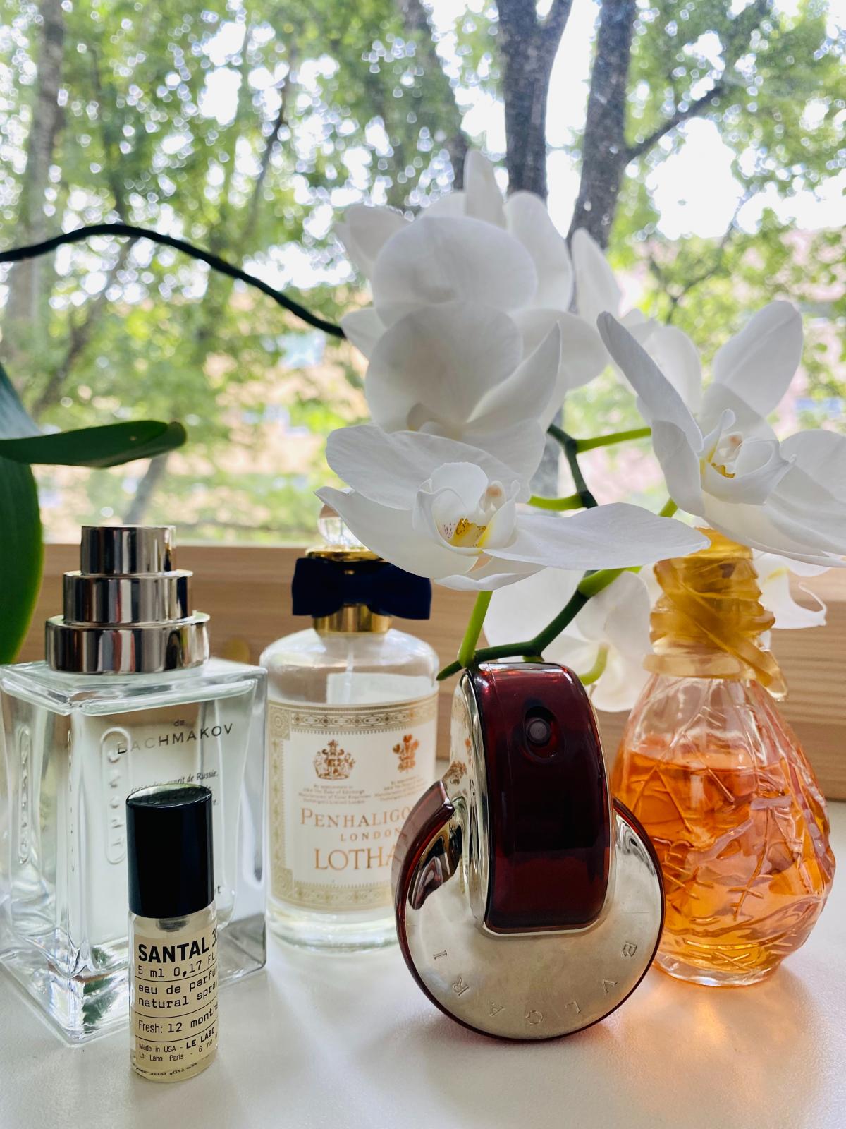 عطر ادکلن دی باکمکوف د دیفرنت کمپانی - De Bachmakov The Different Company - بررسی، قیمت و خرید