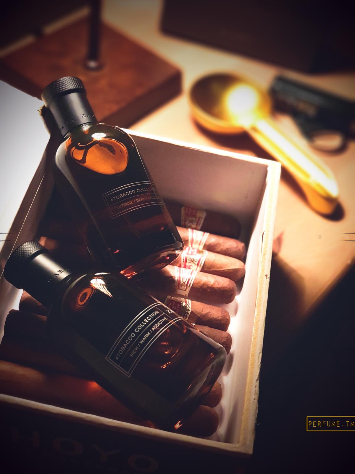 عطر ادکلن توباکو کالکشن اینتنس دارک اکسکلوسیو ۲۰۲۱ زارا - Tobacco Collection Intense Dark Exclusive 2021 Zara - بررسی، قیمت و خرید