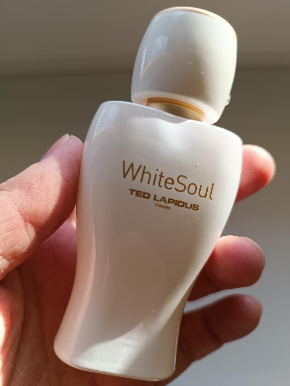 عطر ادکلن وایت سول تد لاپیدوس - White Soul Ted Lapidus - بررسی، قیمت و خرید