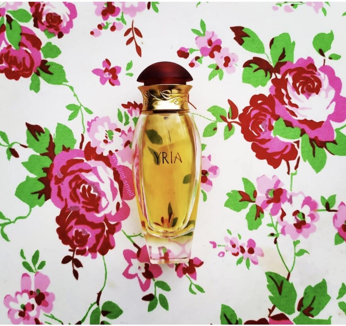 عطر ادکلن یِریا ایو روشه - Yria Yves Rocher - بررسی، قیمت و خرید